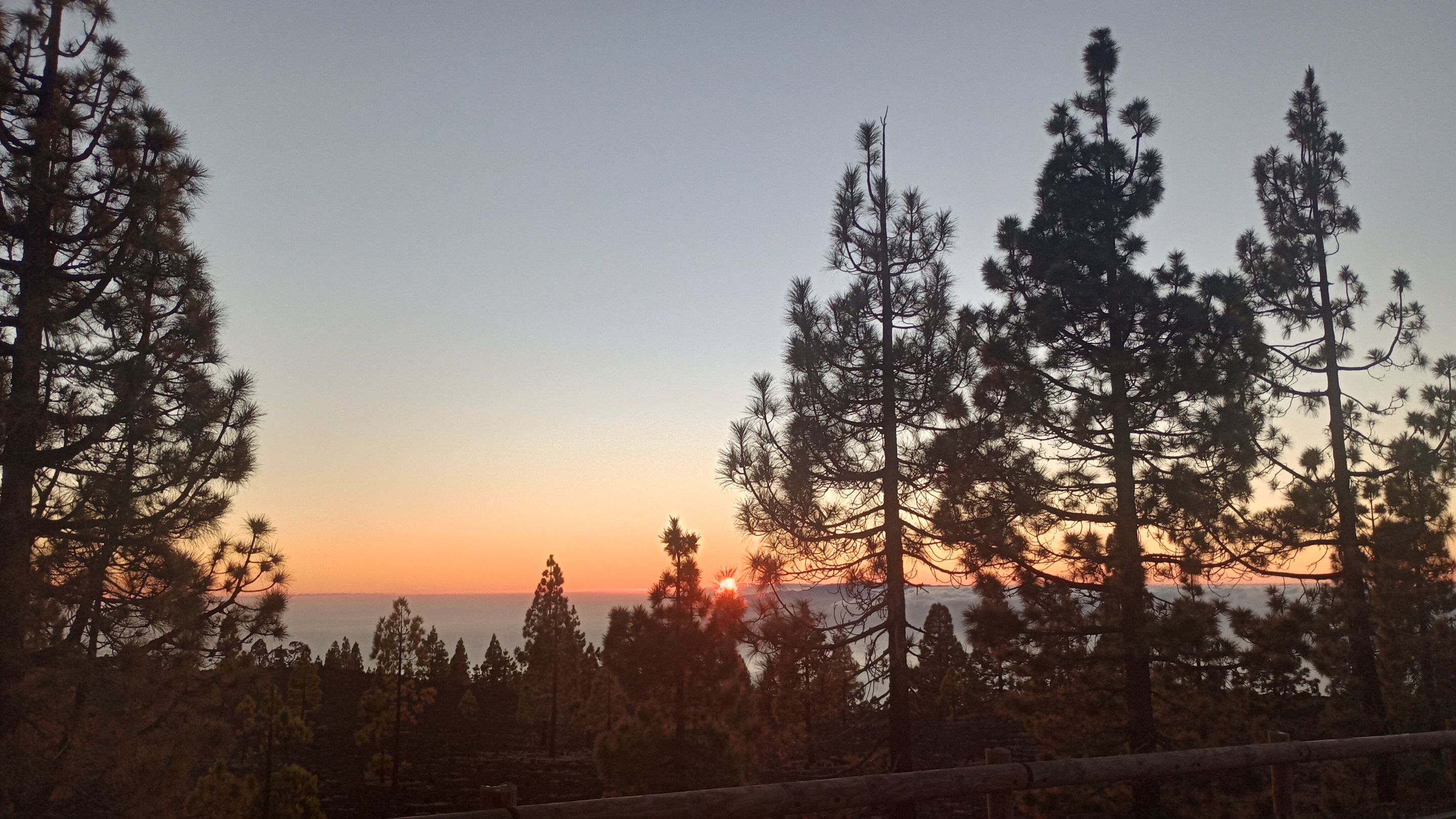 IMG_20231208_181414739_HDR.jpg