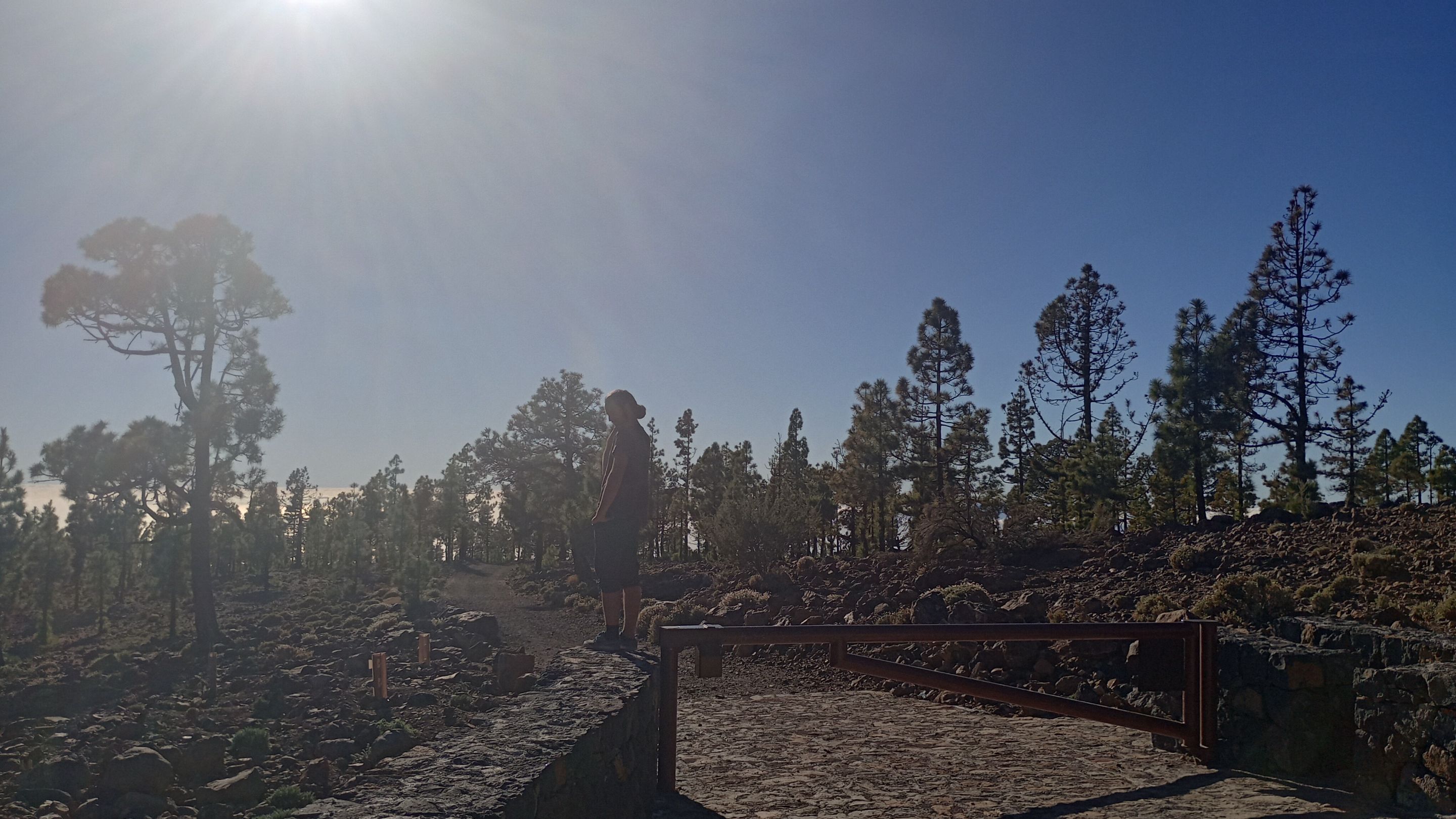 IMG_20231208_160627282_HDR.jpg