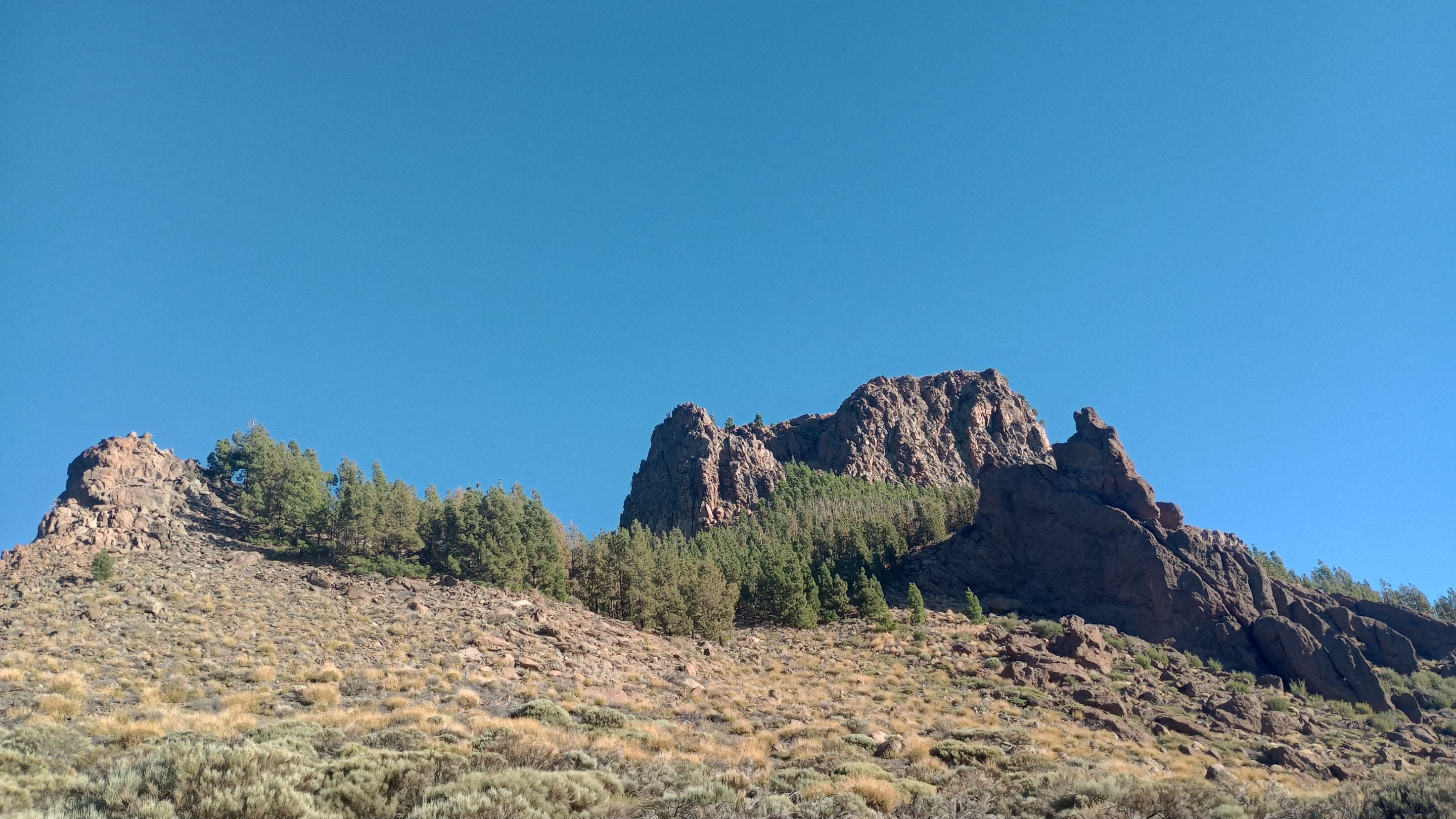 IMG_20231208_162333242_HDR.jpg