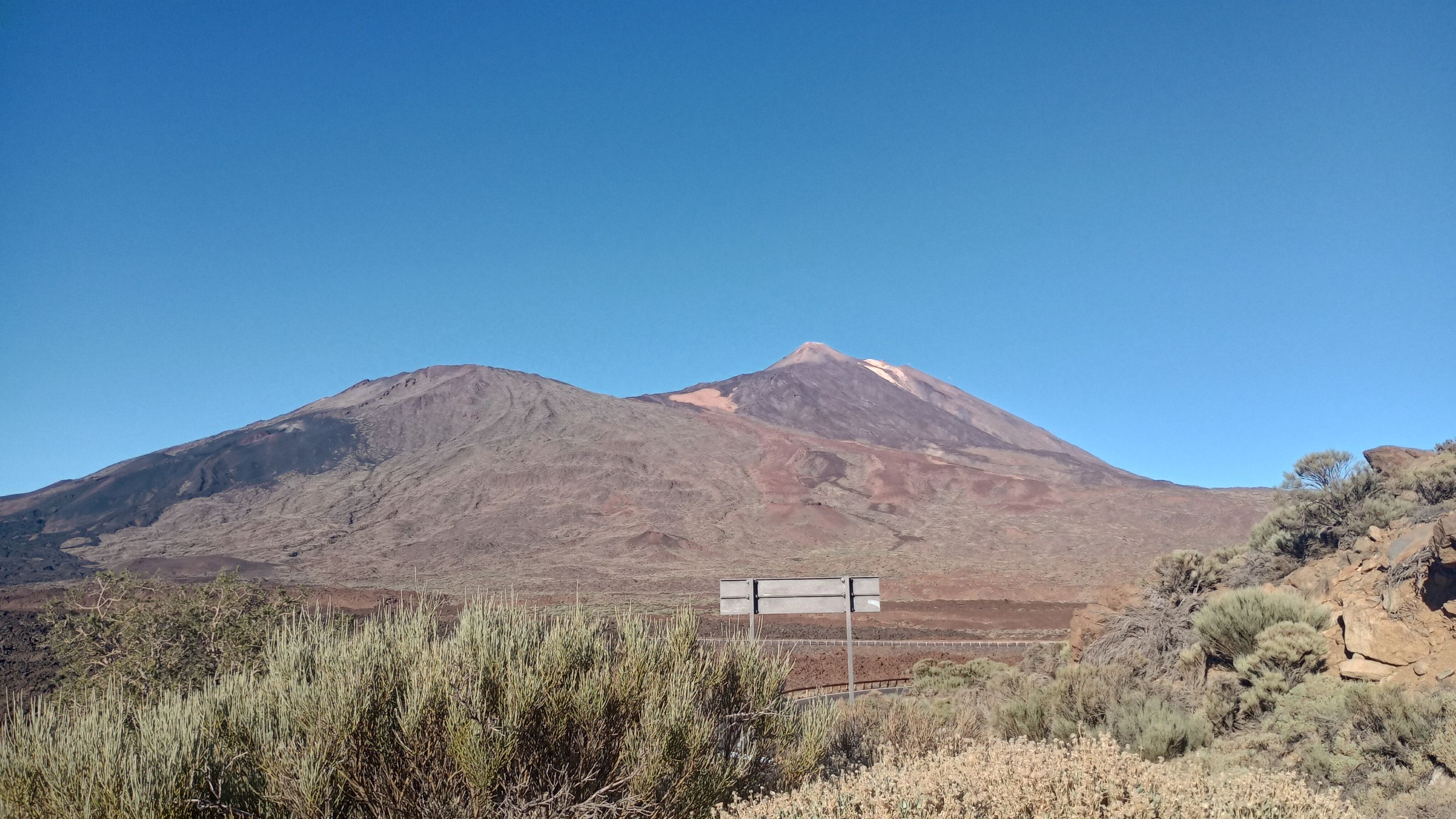 IMG_20231208_162319597_HDR.jpg