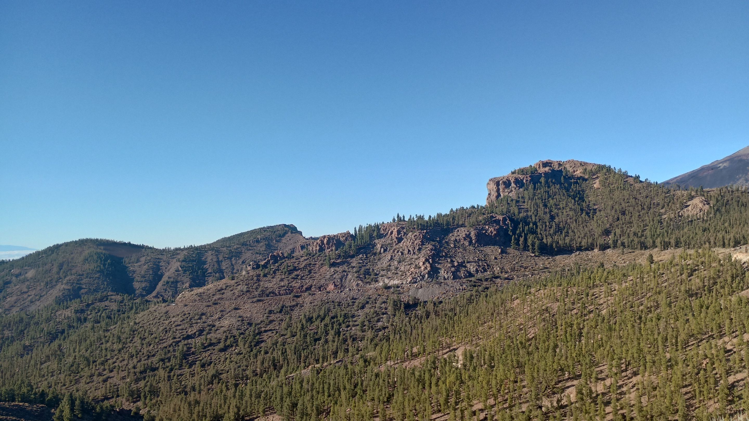 IMG_20231208_161253584_HDR.jpg
