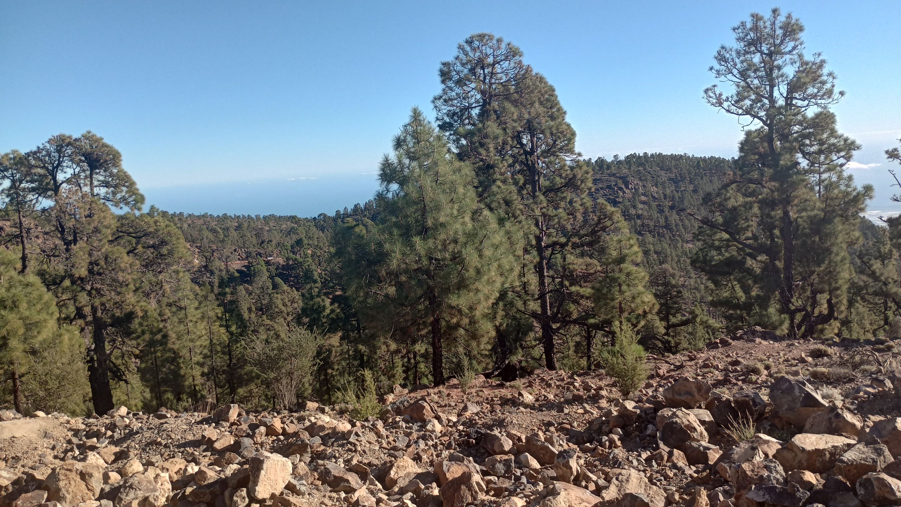 IMG_20231208_160755225_HDR.jpg