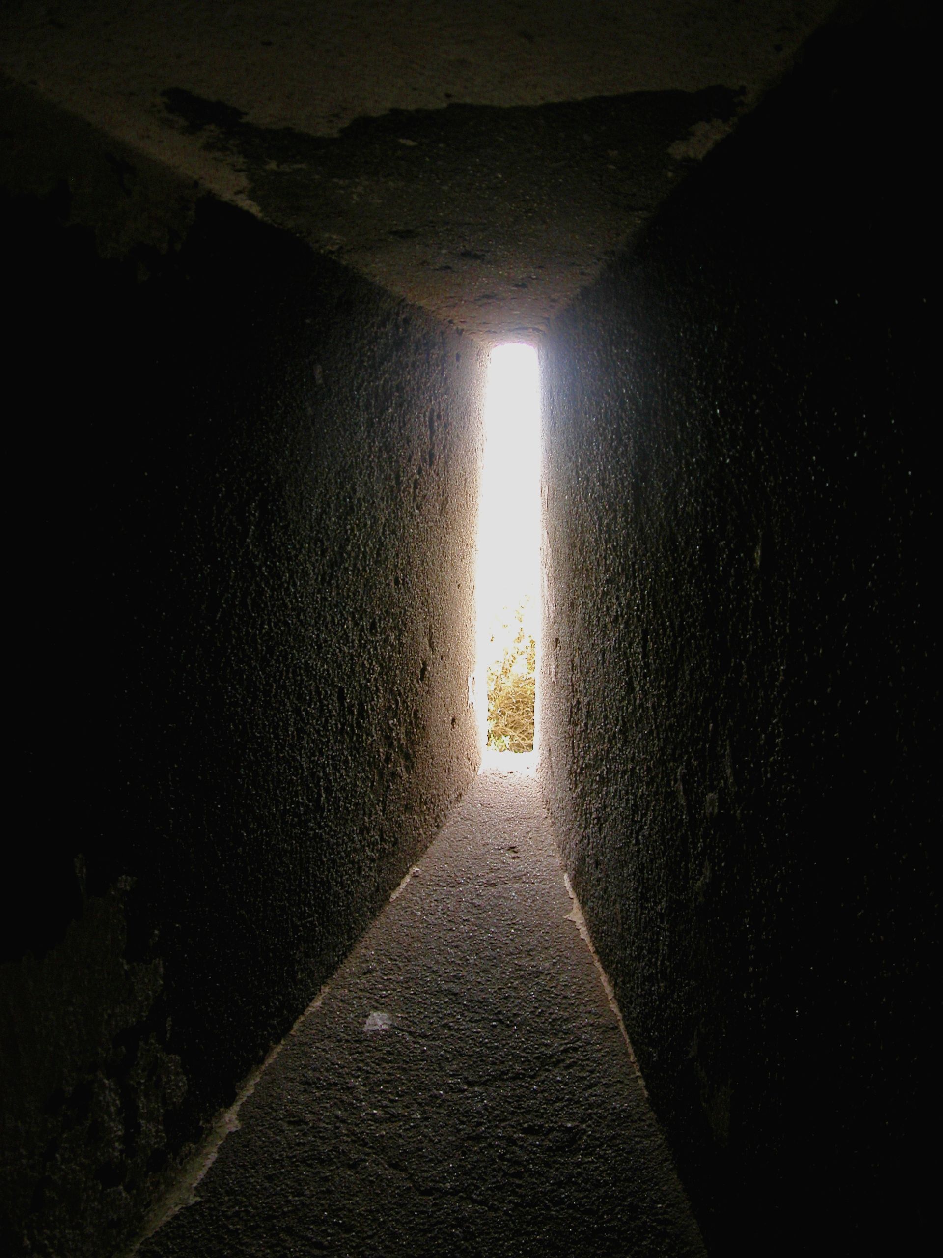 DSCN8020.JPG