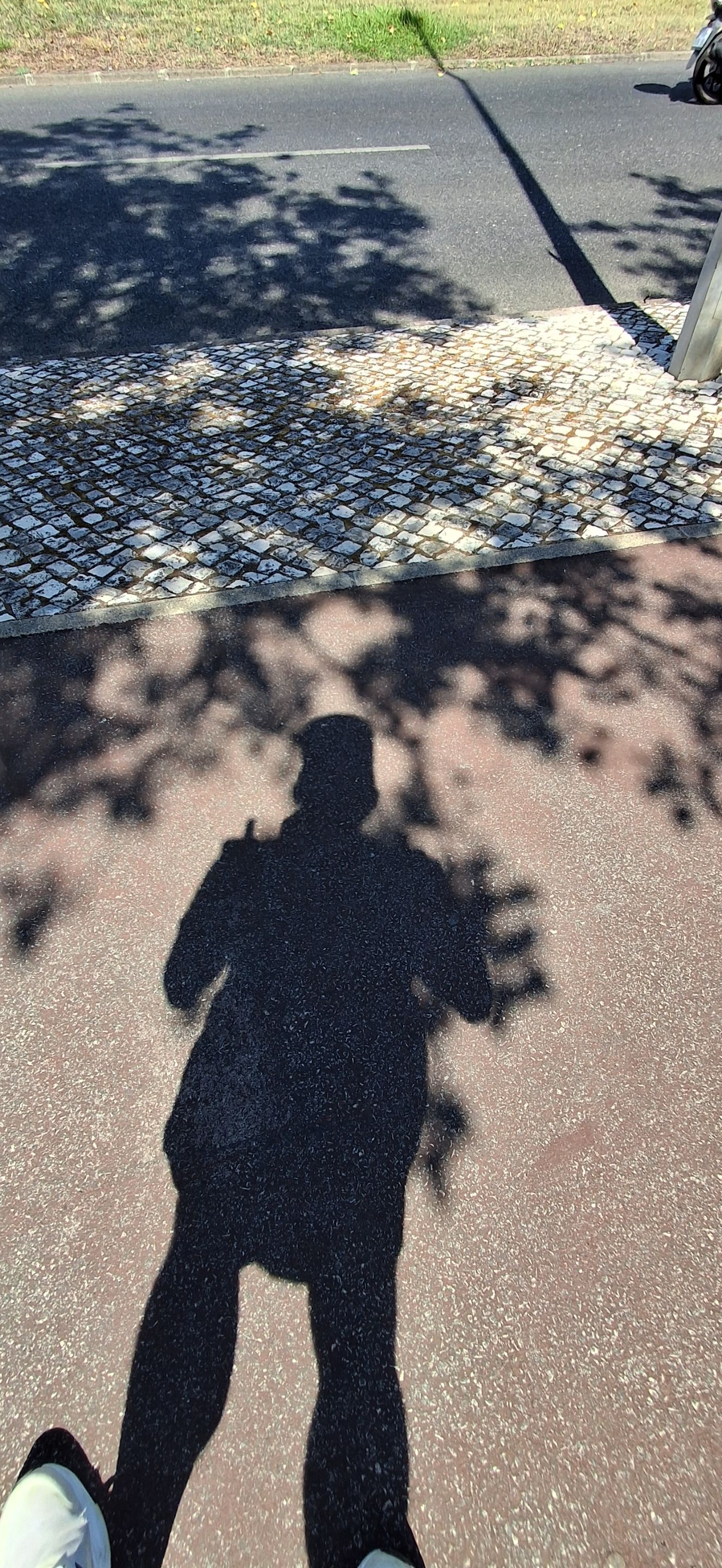 20250801_112048.jpg