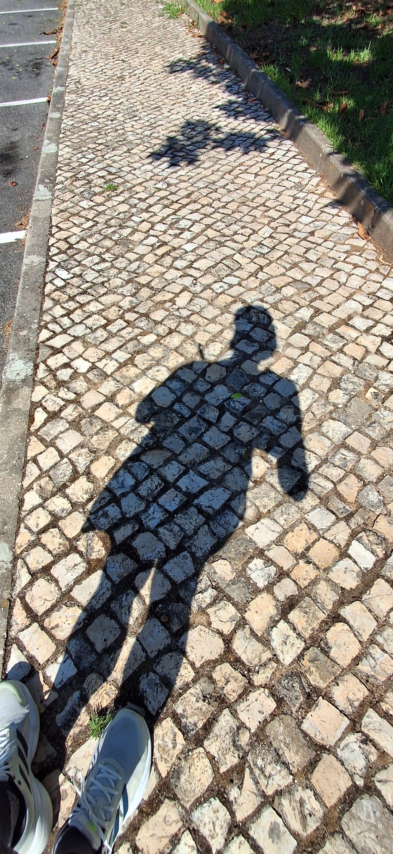 20250801_111905.jpg