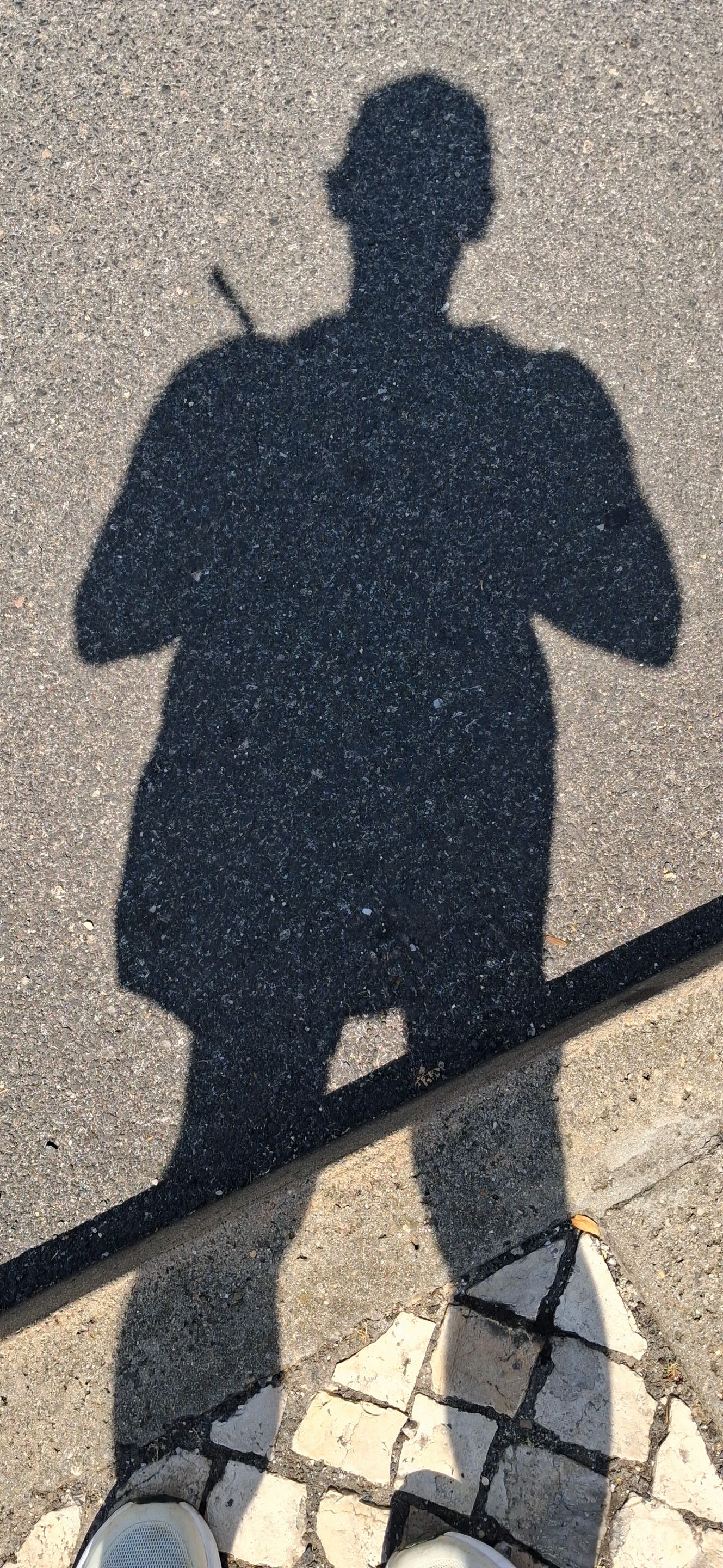Entry for the Shadow Contest/SMASh - Round - 385 - Self-discovery / Autodescoberta   [Eng-pt]