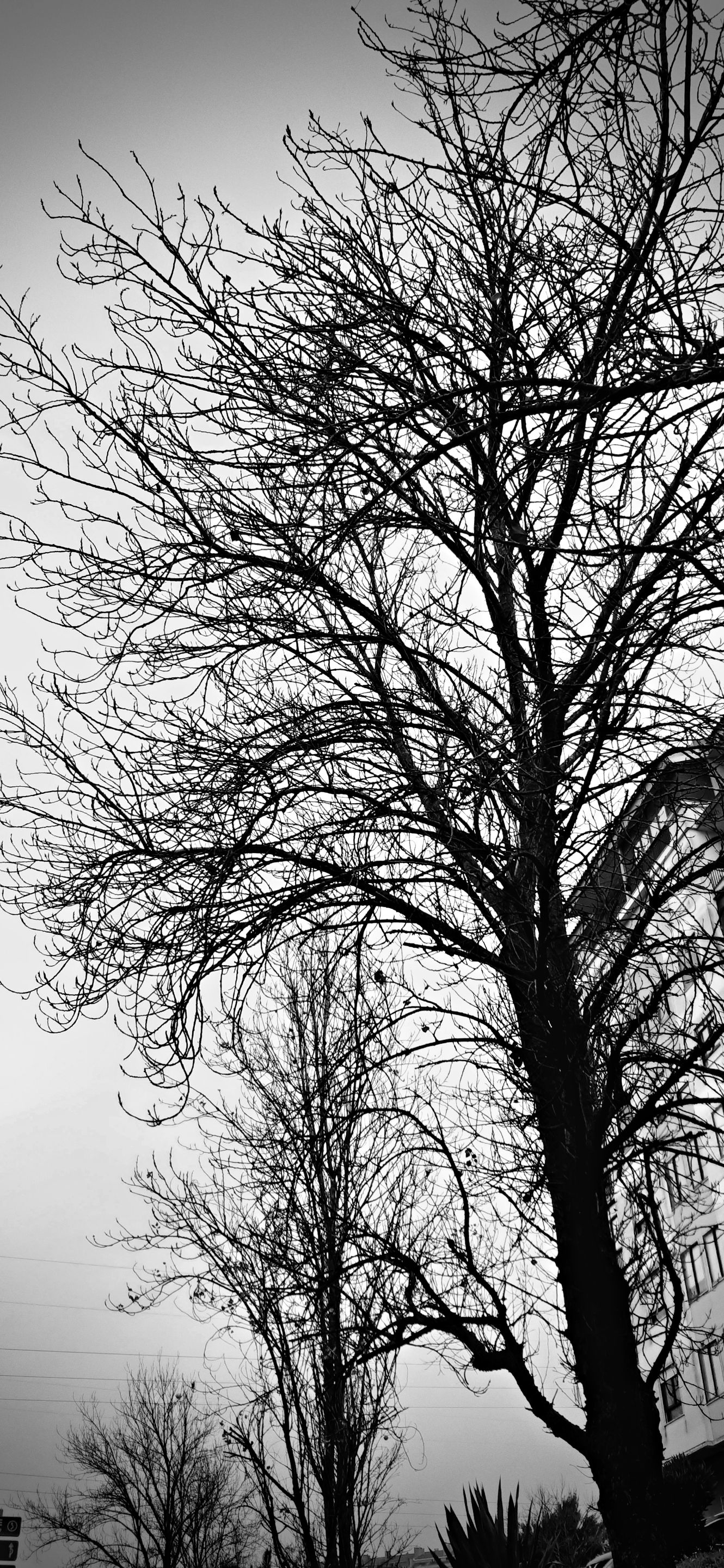 20240104_084317.jpg