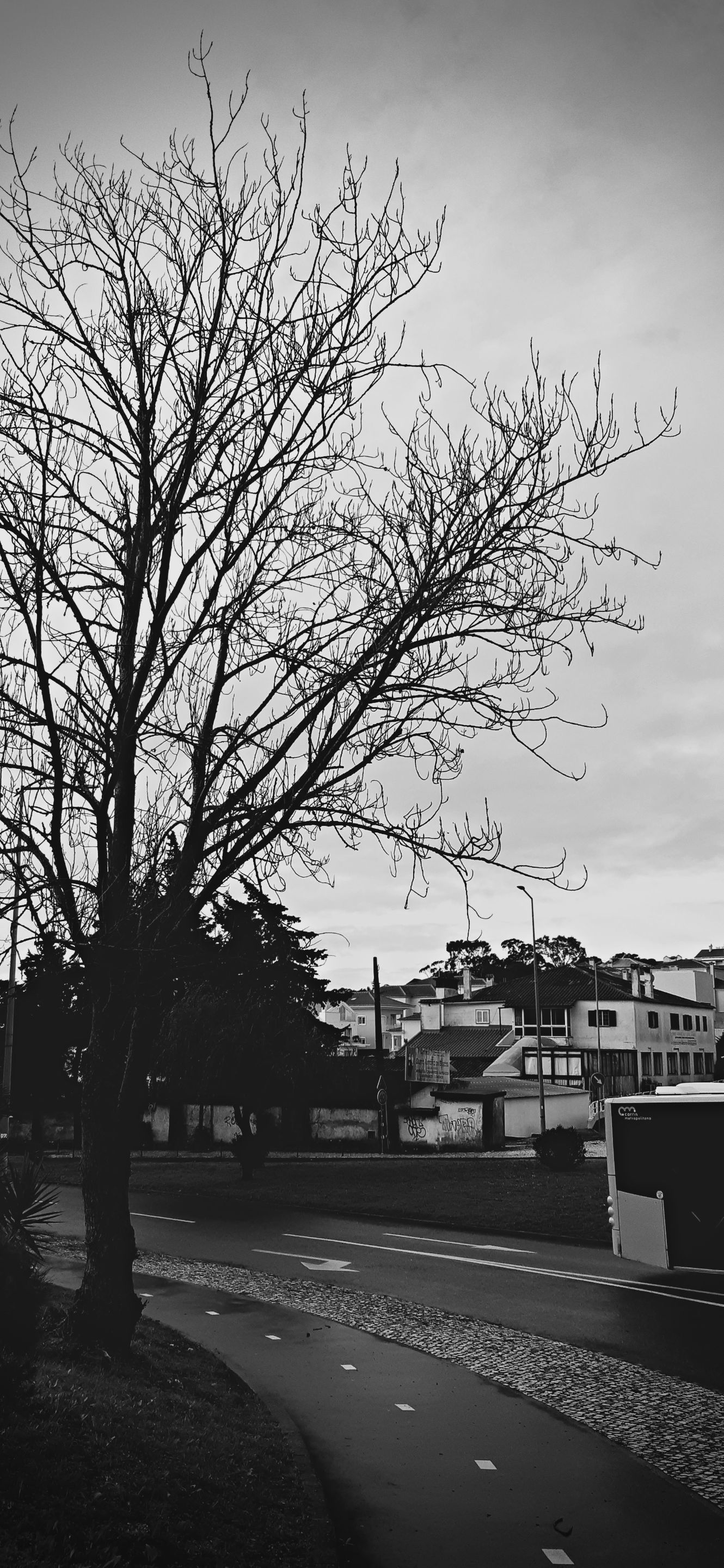 20240104_100514.jpg