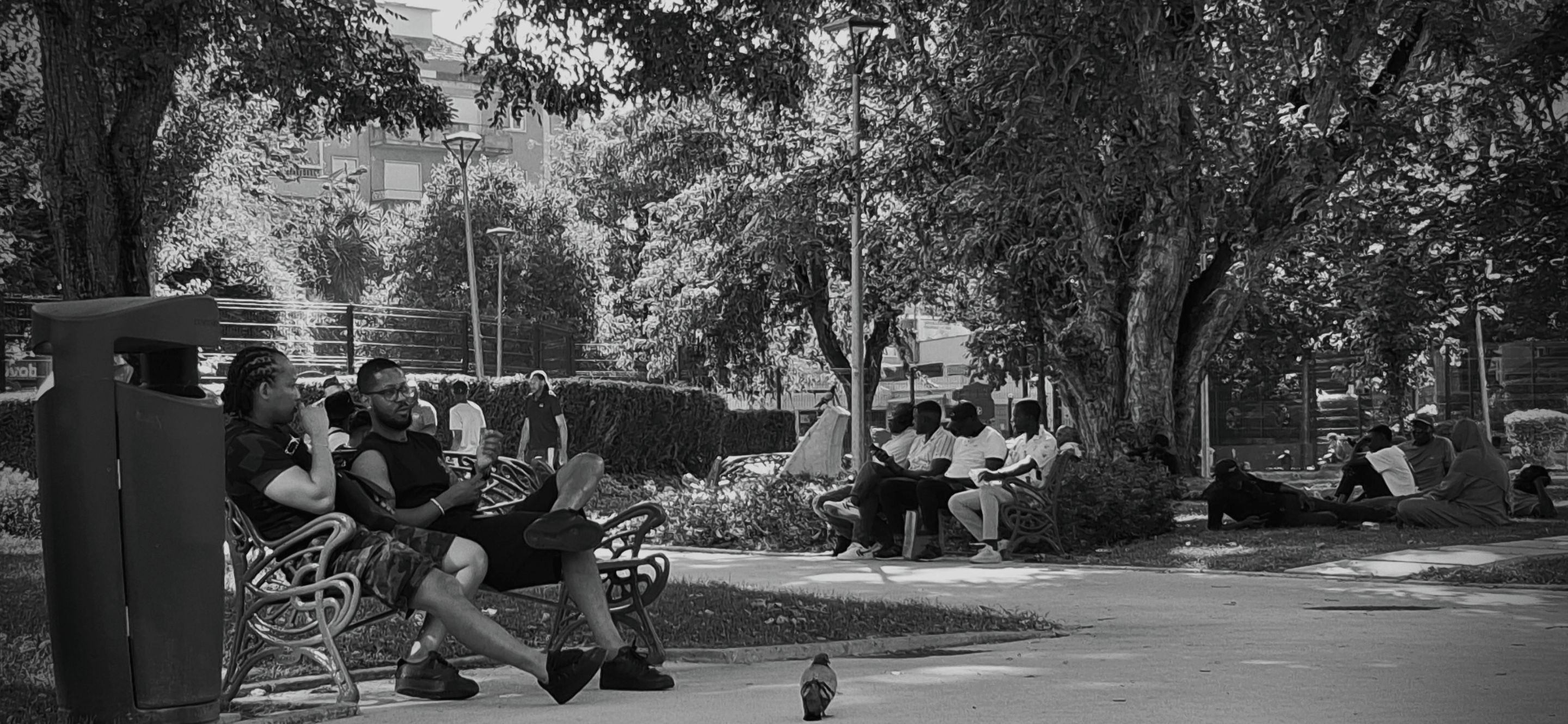 20250802_180443-crop.jpg