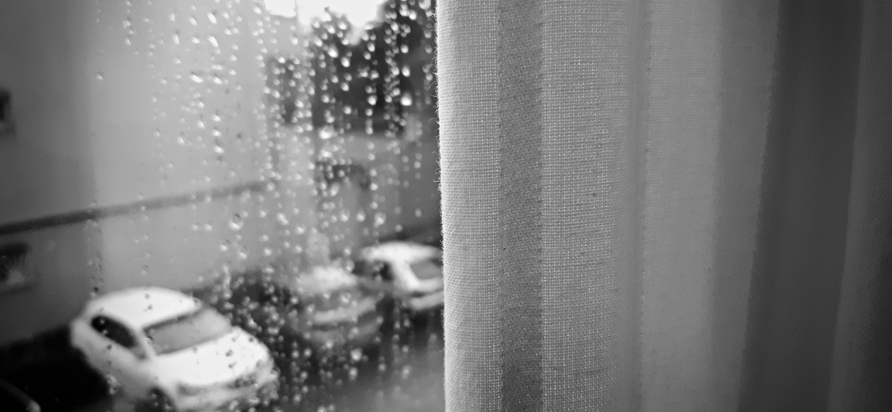 20240104_081201.jpg
