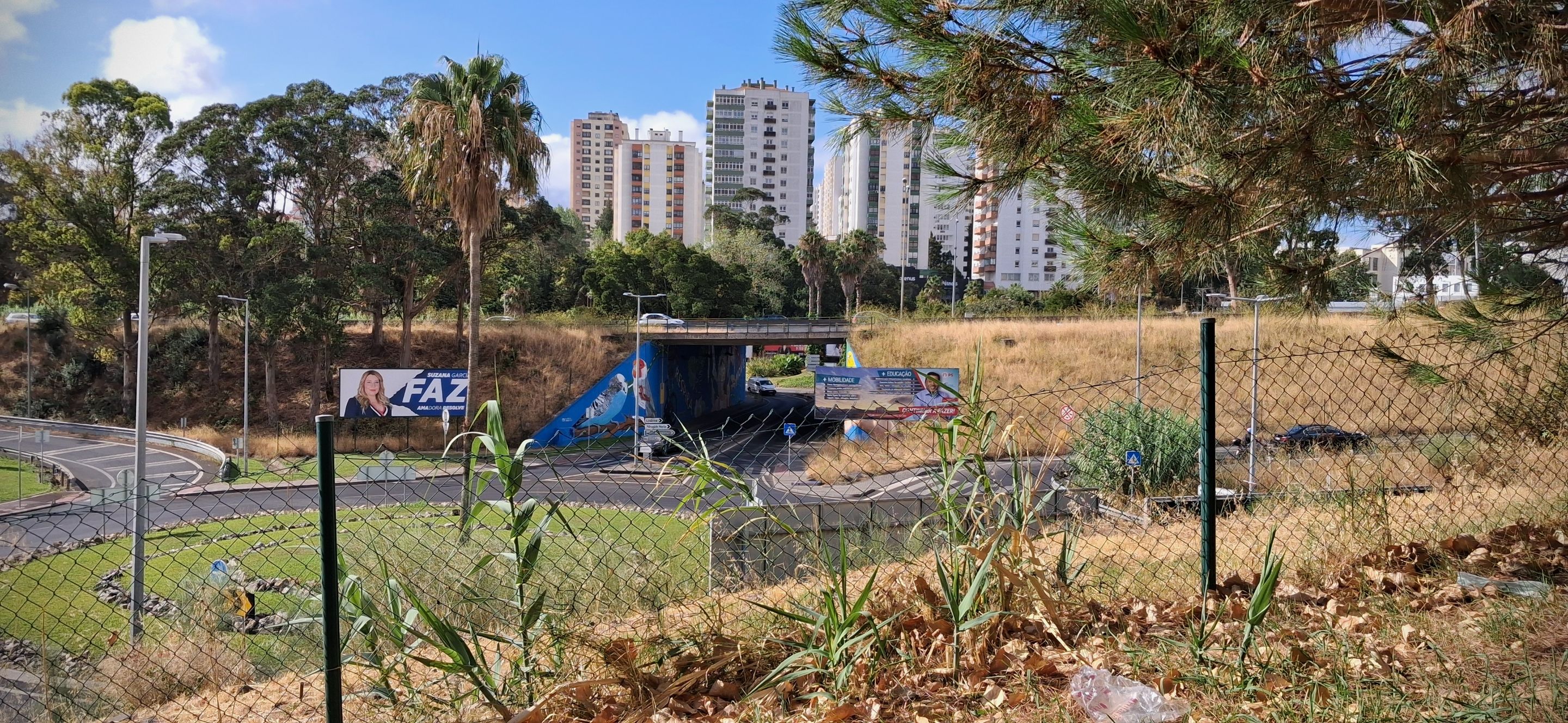 20250829_101257.jpg