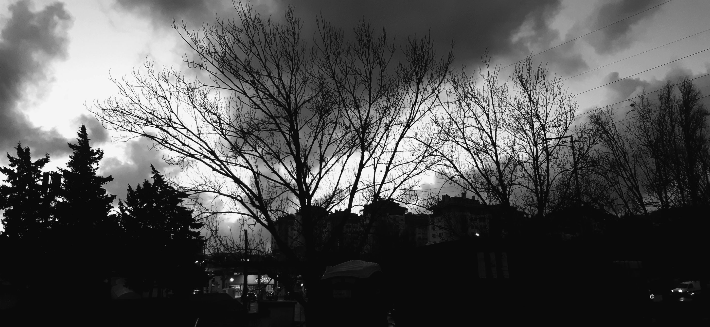 20250321_185753.jpg