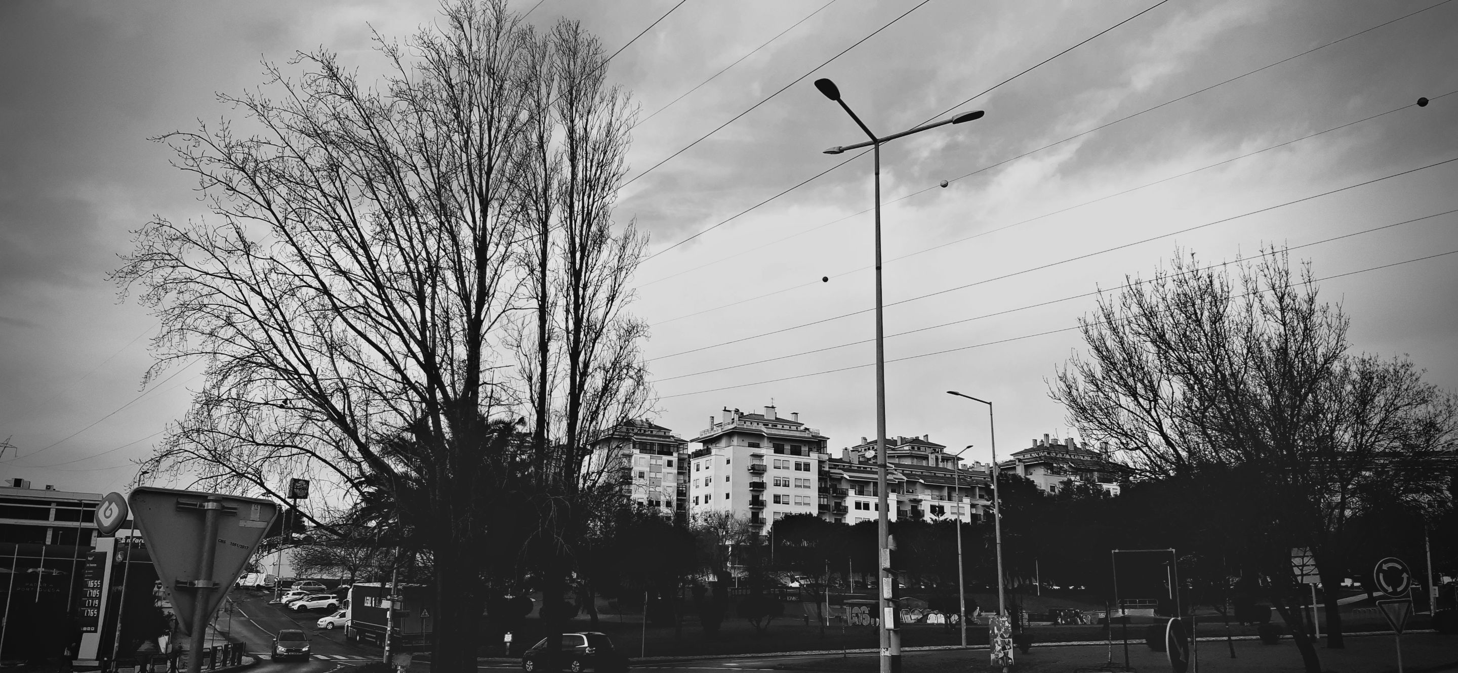 20240104_100527.jpg