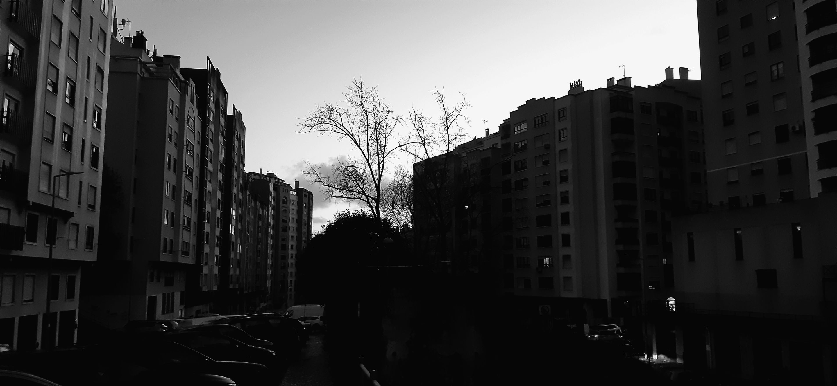 20250321_190552.jpg