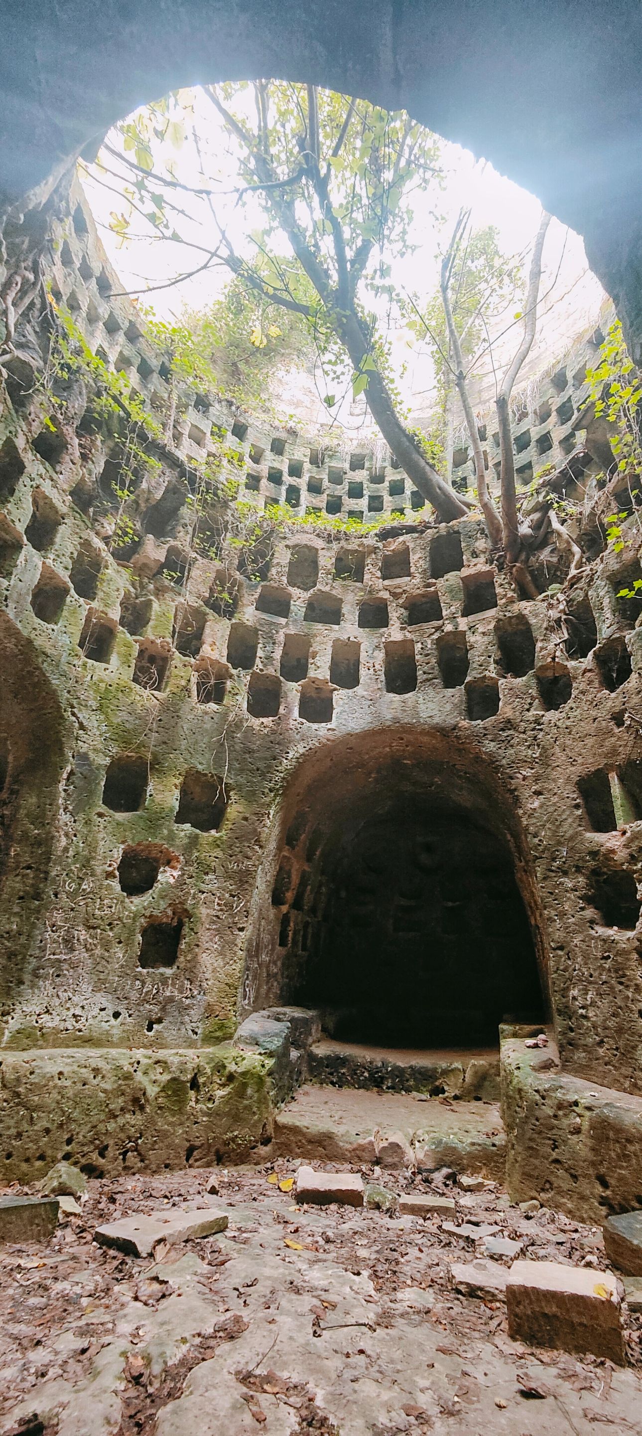 IMG20221116140703-01.jpeg