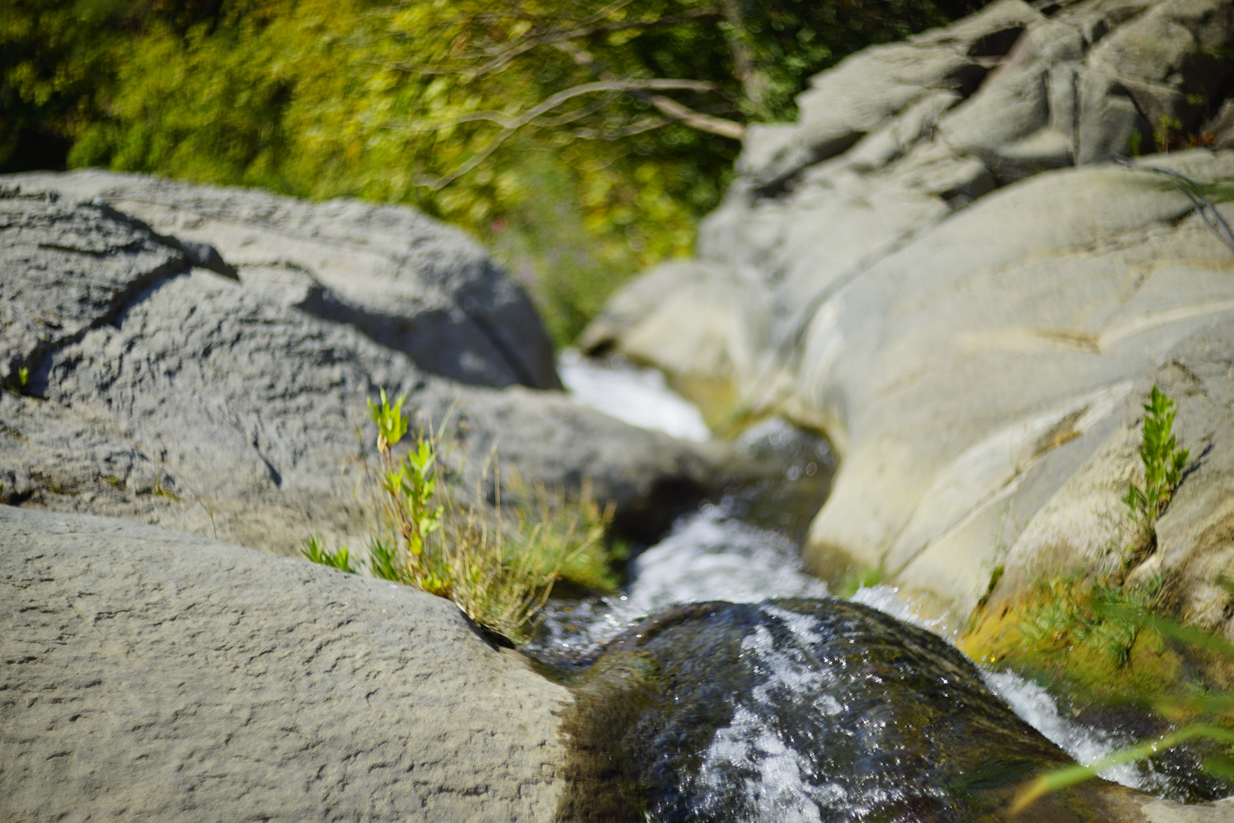 _DSC1060.jpg