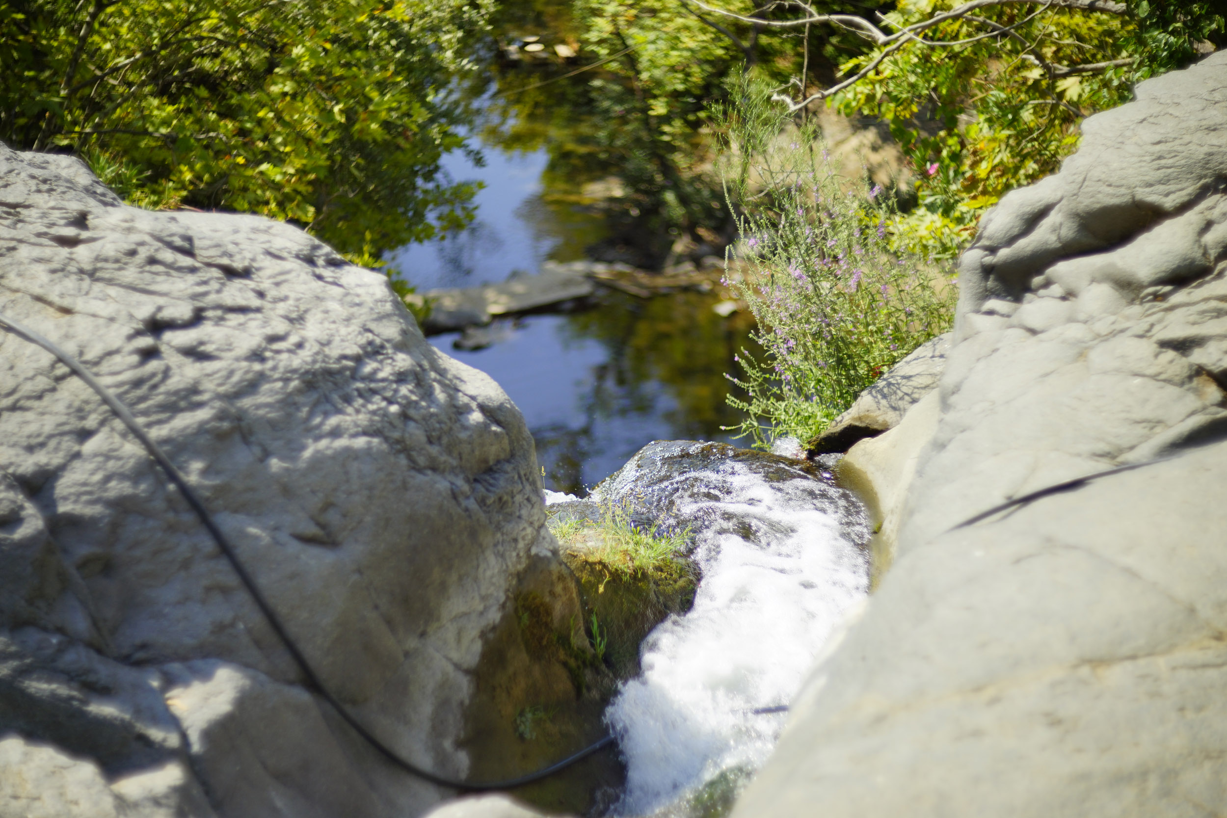 _DSC1058.jpg