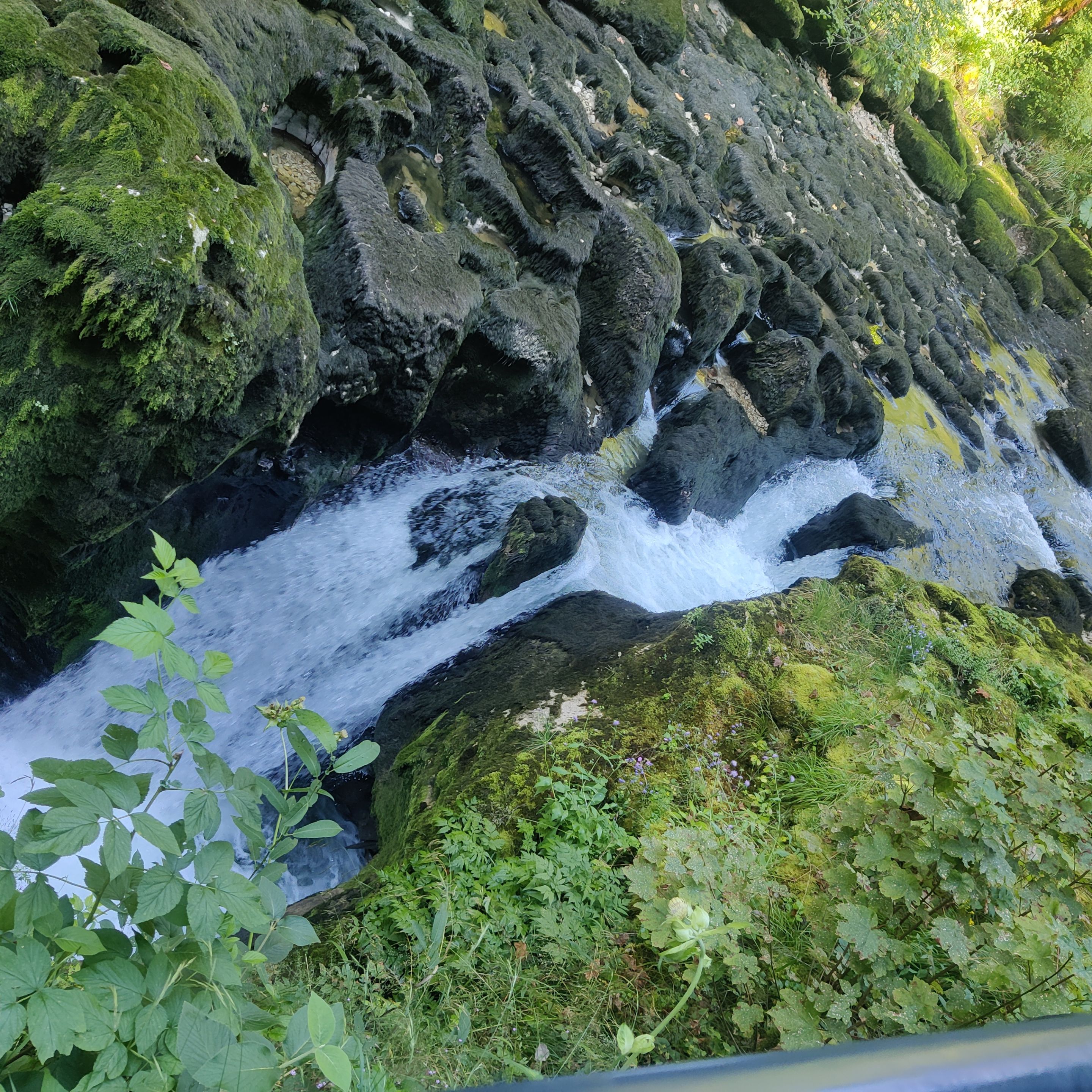 IMG_20240813_105624.jpg