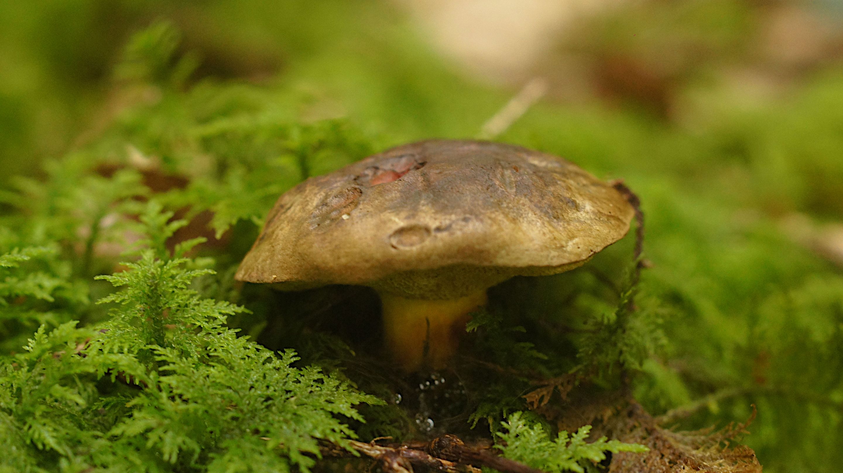 DSC07753.JPG