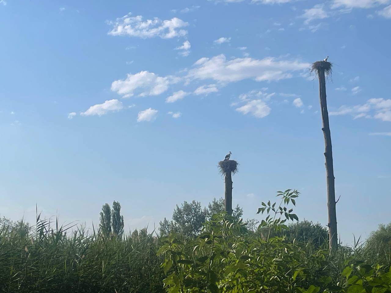 2023-07-18 01.42.33.jpg