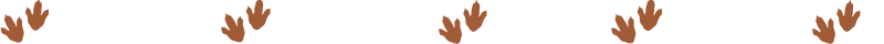 Top Chepe Vip_20250907_215555_0000.png