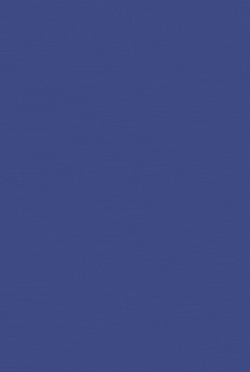 REVIEW.gif