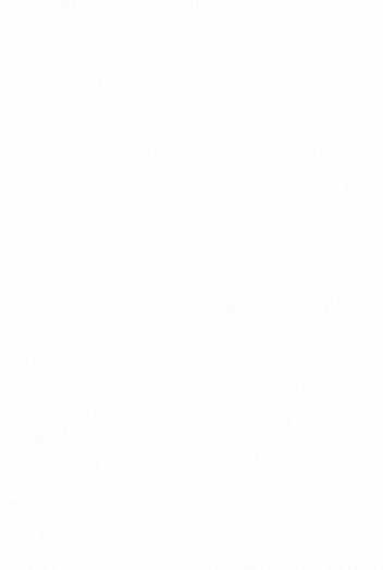 REVIEW.gif