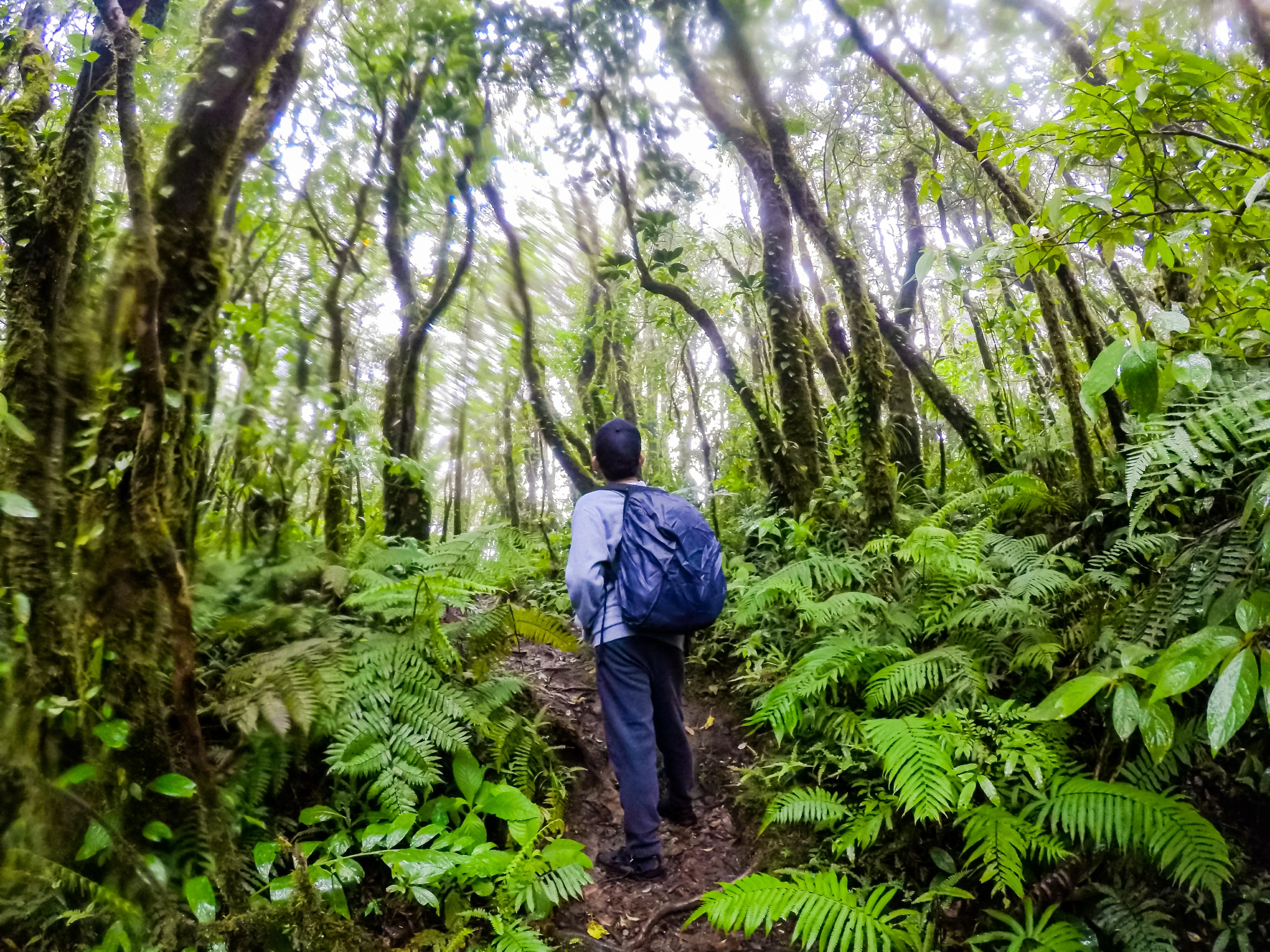 09l2leUd-GOPR3636_1544243864148_high.jpg