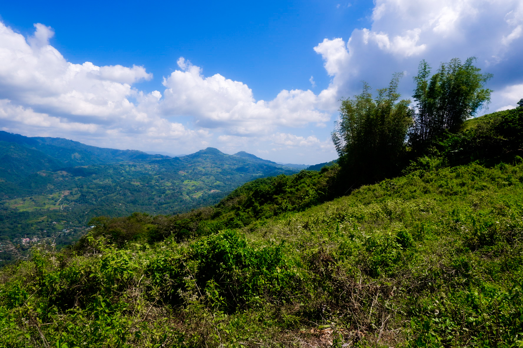 H5cJdrrC-1608017161256.jpg