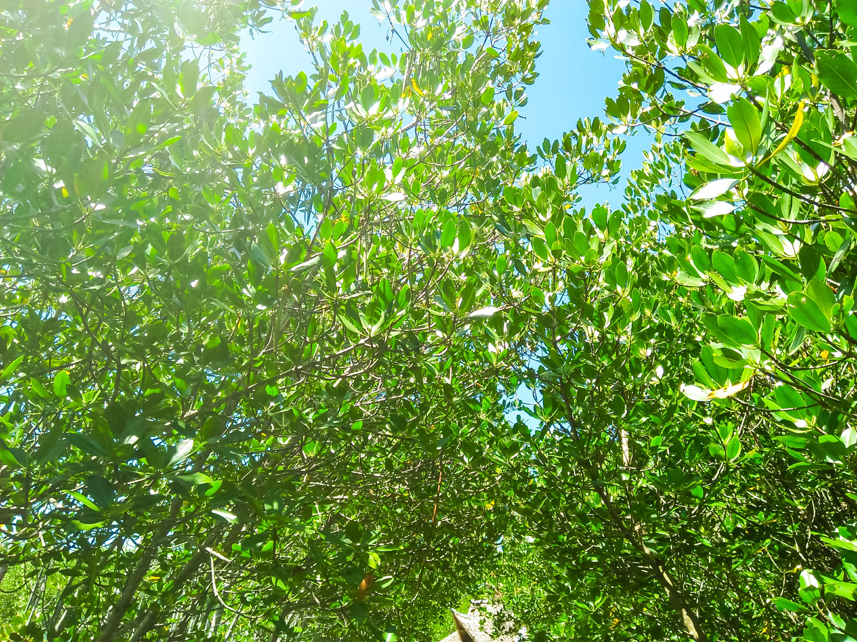 PI1rMKrB-IMG20180429101756.jpg