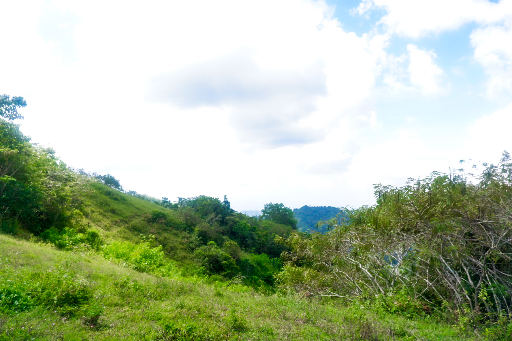 uXBnuqsR-1608017161290.jpg