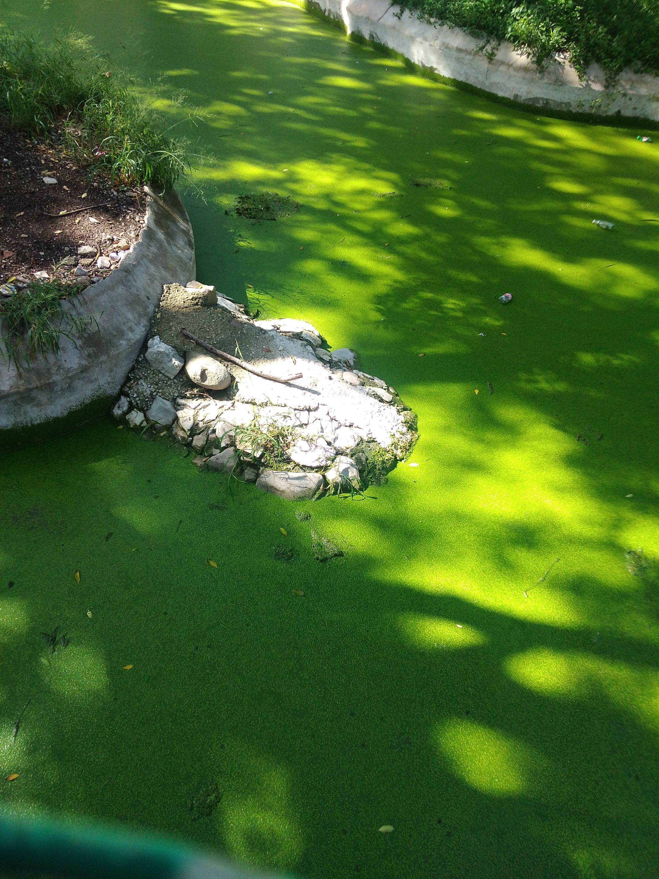 IMG_20250830_102424.jpg