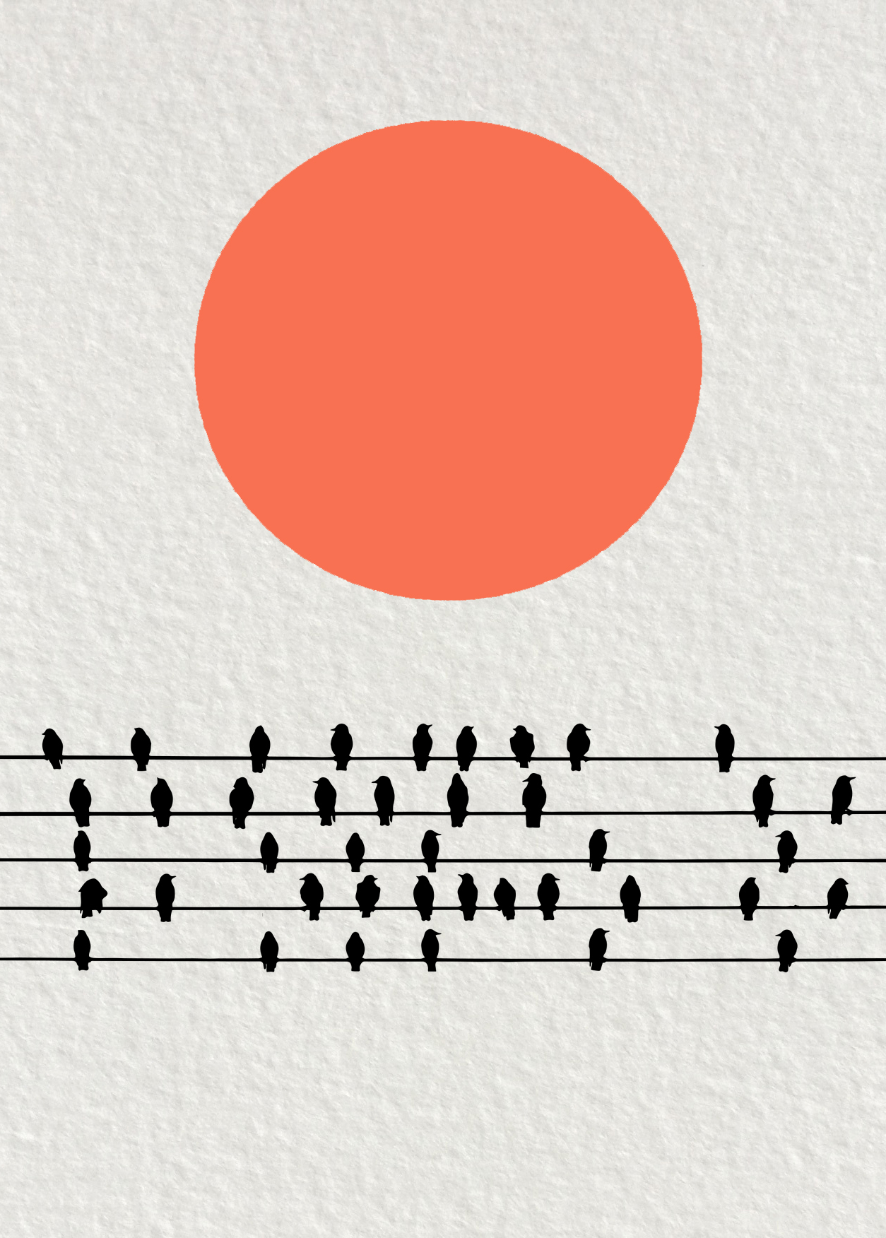 birds across1.jpg