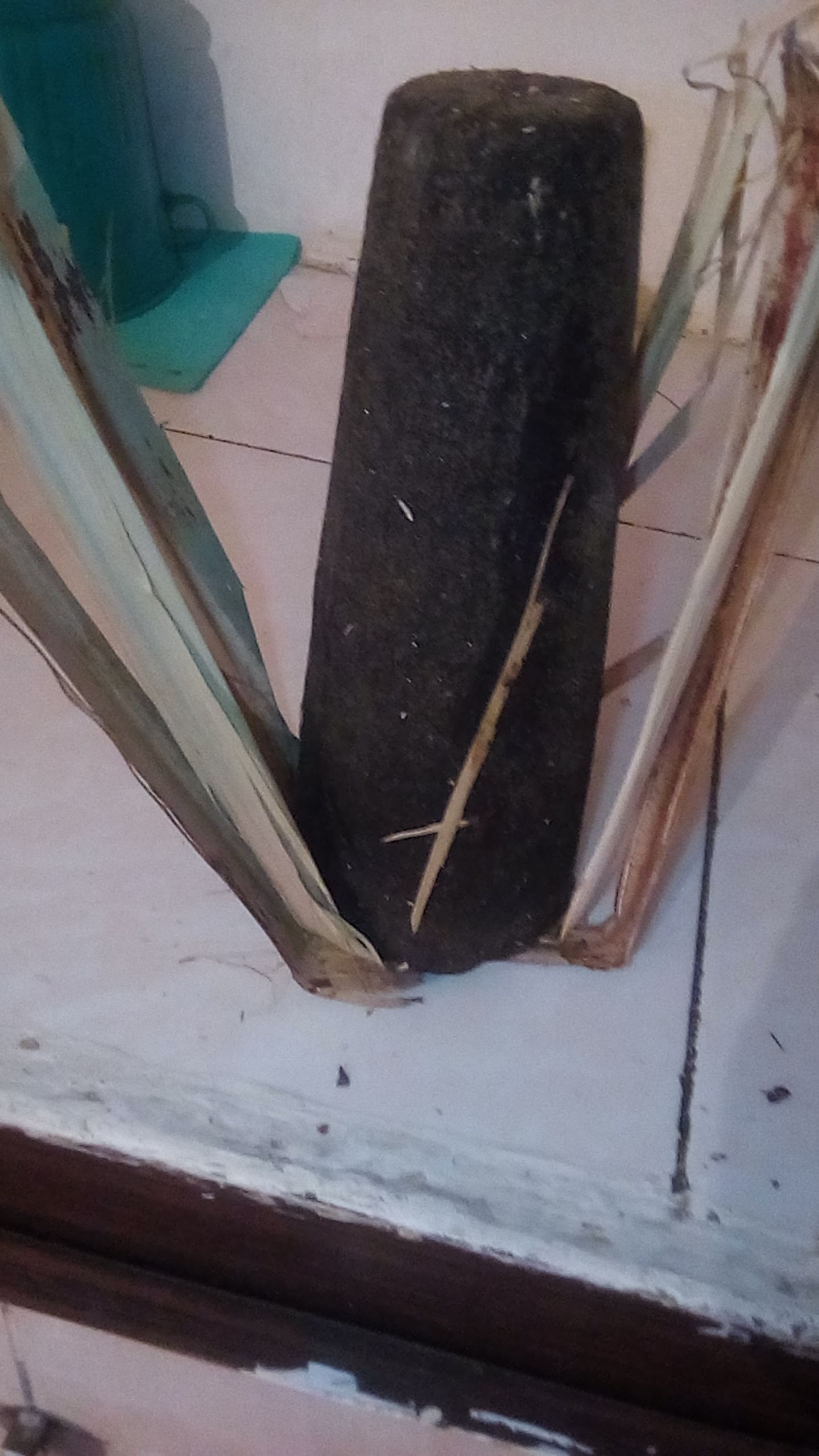 23wgFm3dVmBsiC7dn6QdDXJUcyiVs76EymgWkevTPVfVbCxnffvoZrnbzqkRCj2GTdkB4.jpg