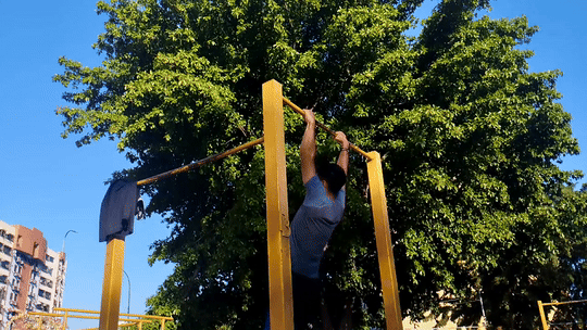 5.gif