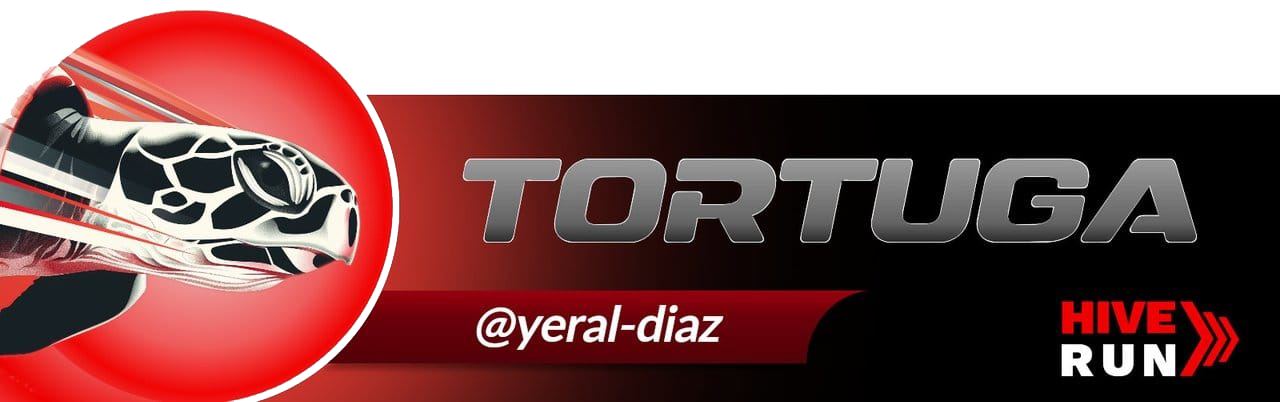 tortu.png