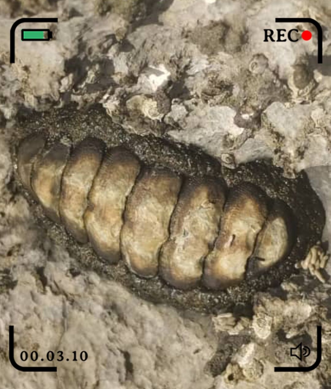 GridArt_20250908_104405155.jpg