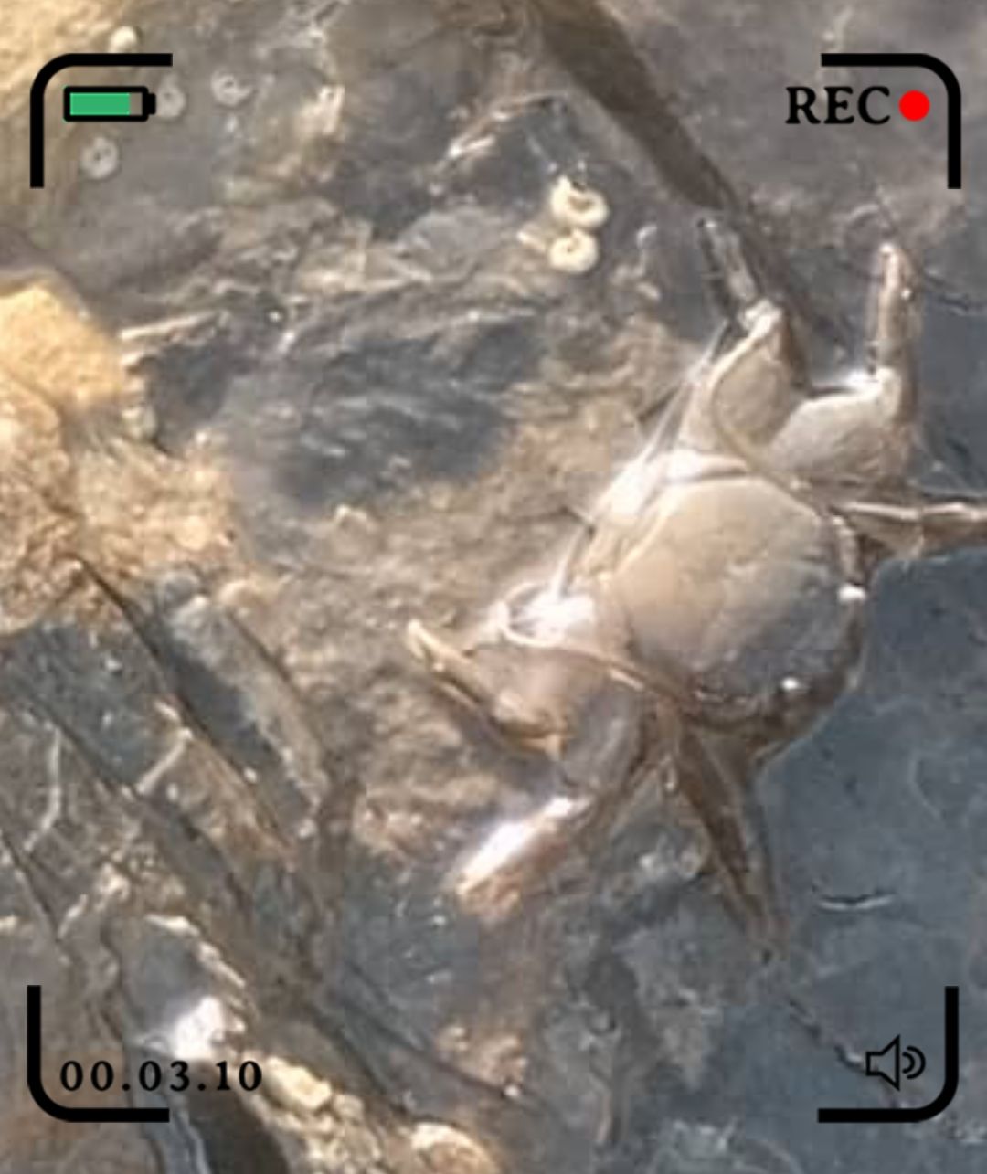 GridArt_20250908_105954445.jpg