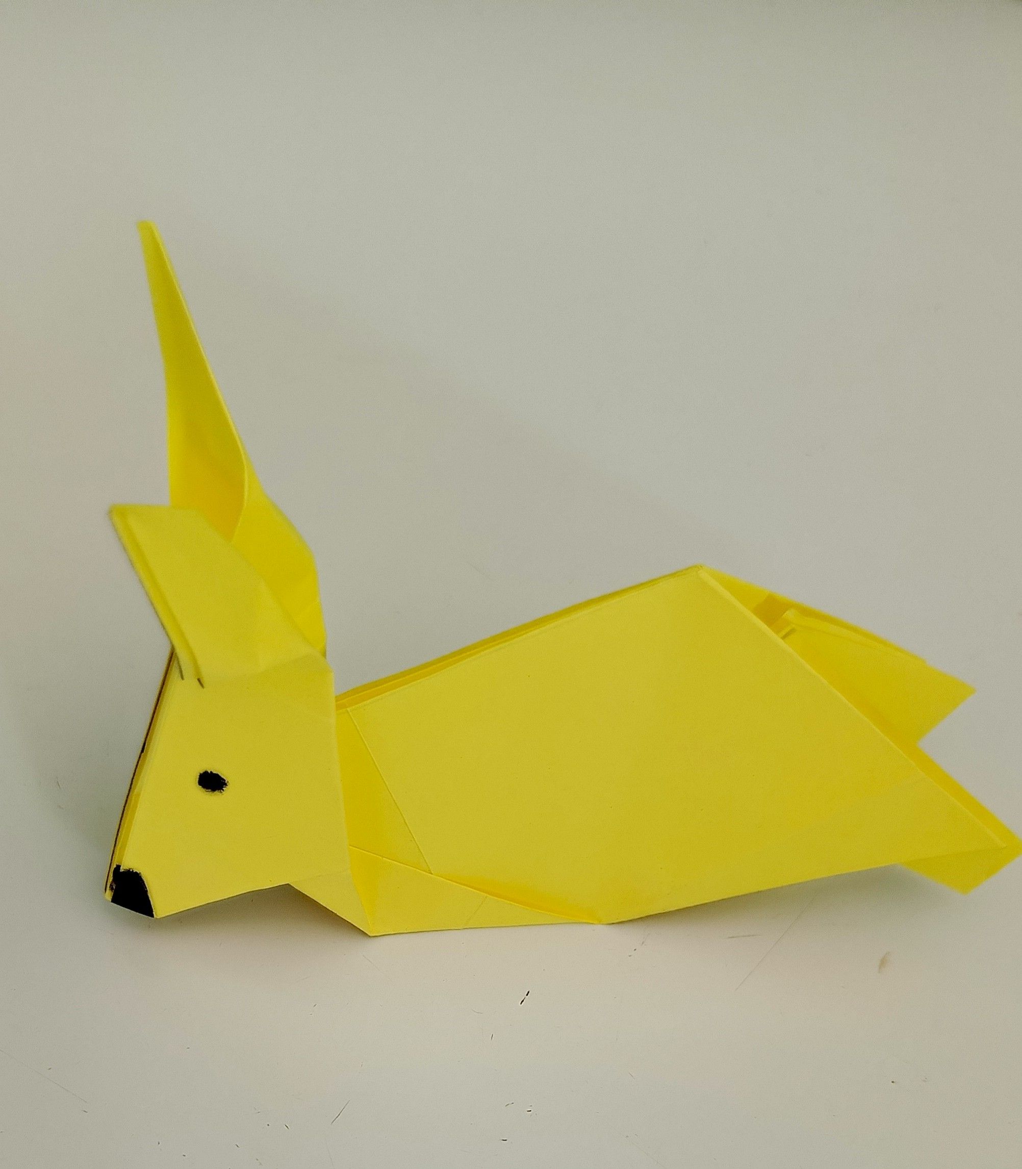 IMG_20251027_143524_990 (1).jpg