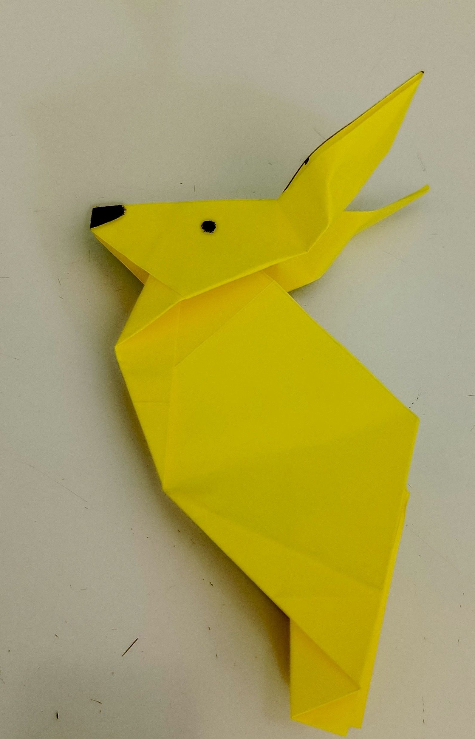 IMG_20251027_143510_338 (1).jpg