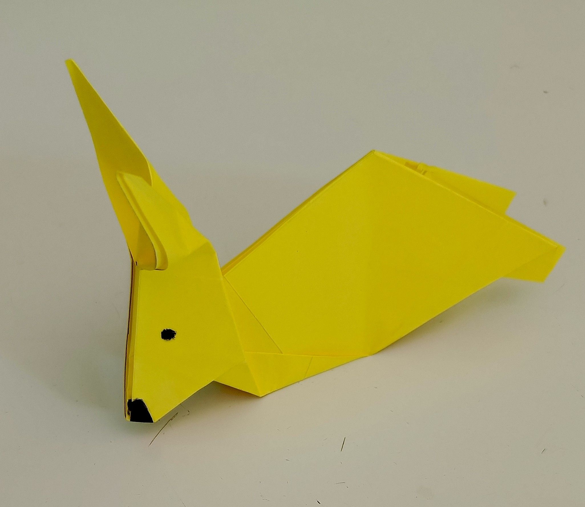 IMG_20251027_143456_738 (1).jpg