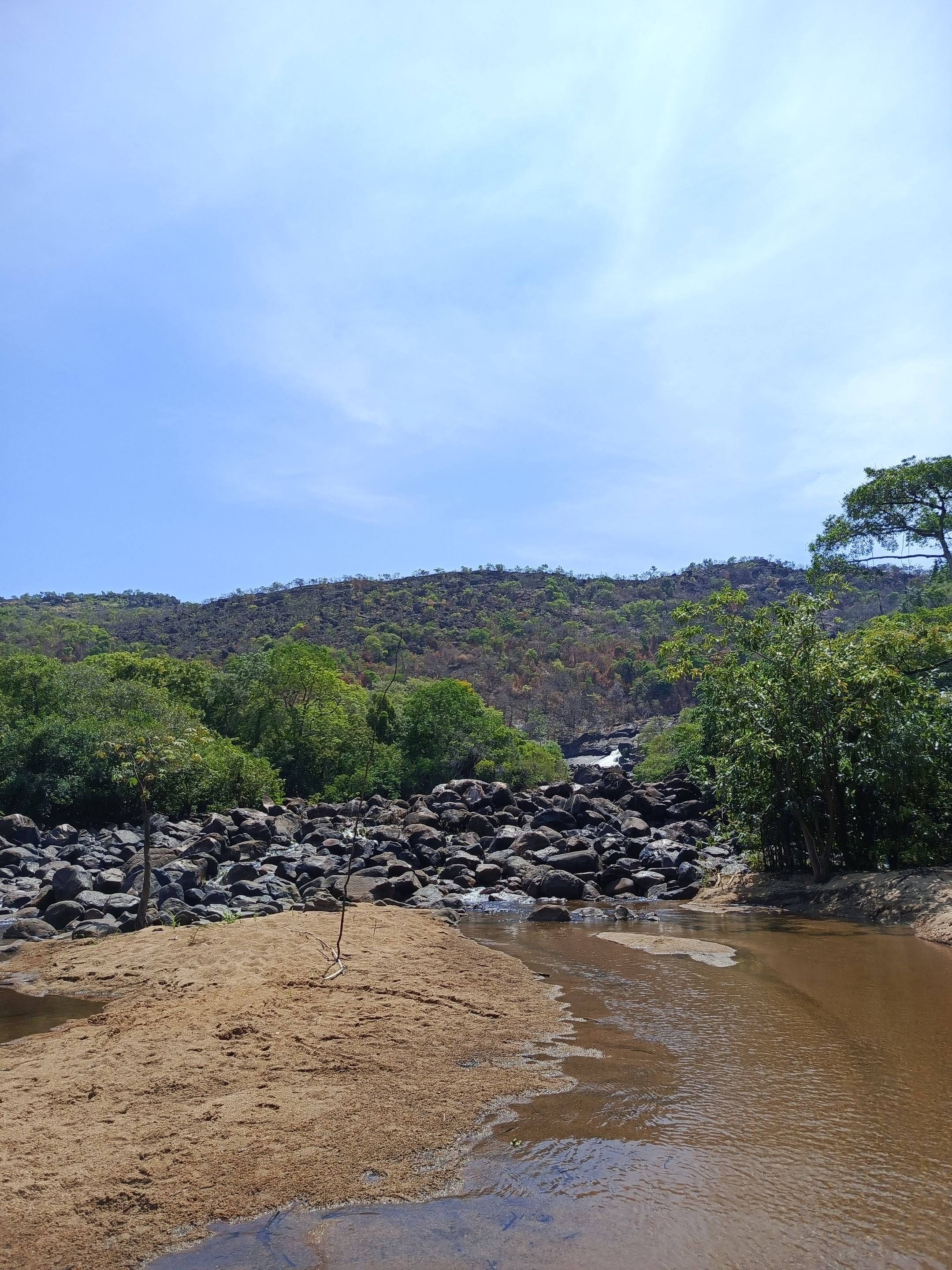IMG_20250416_104446_738.jpg