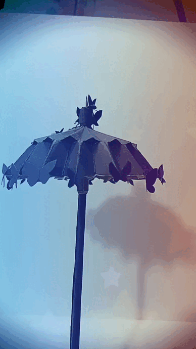 VID_110700619_125237_578.gif