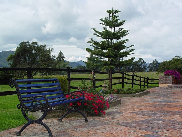home-22491_640.jpg
