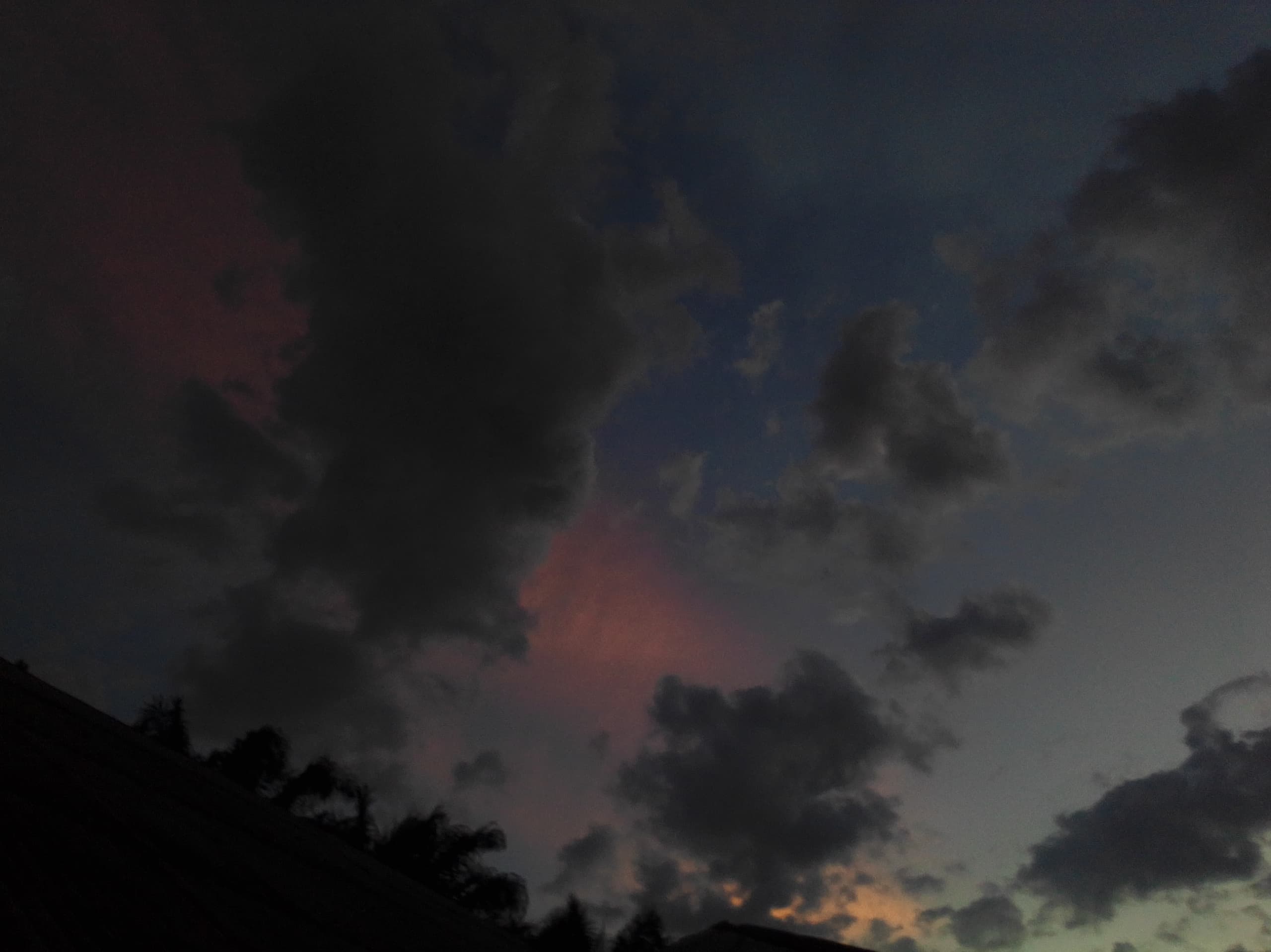 IMG-20250509-WA0074.jpg