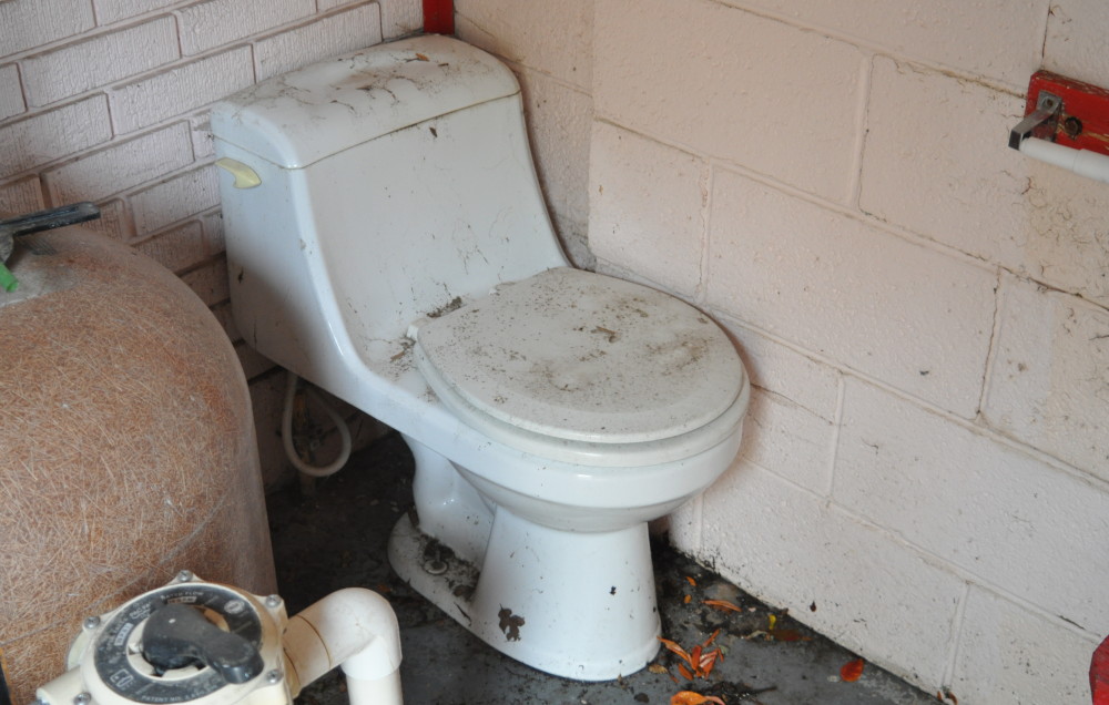 toilet.jpg