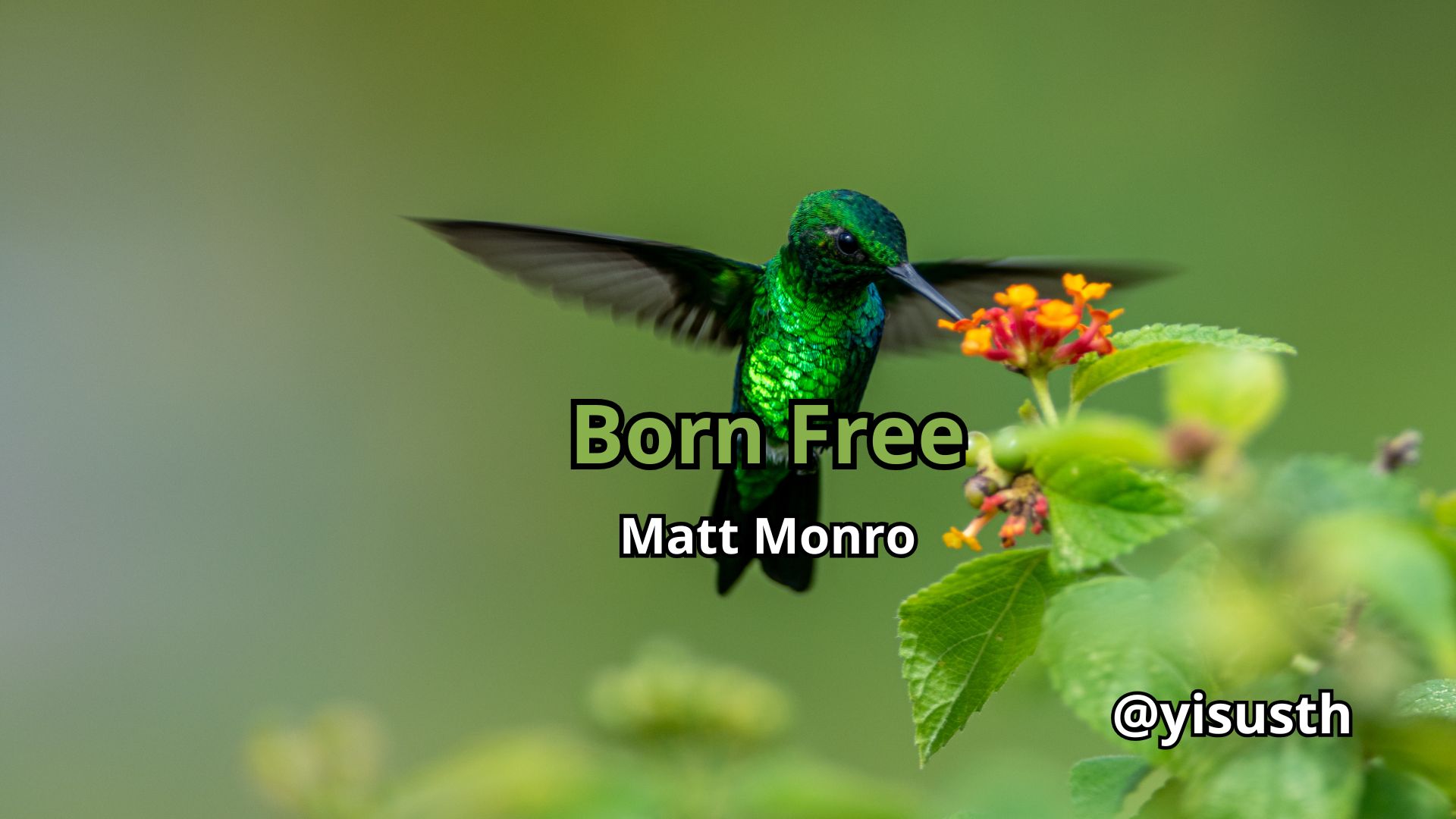born_cover.jpg