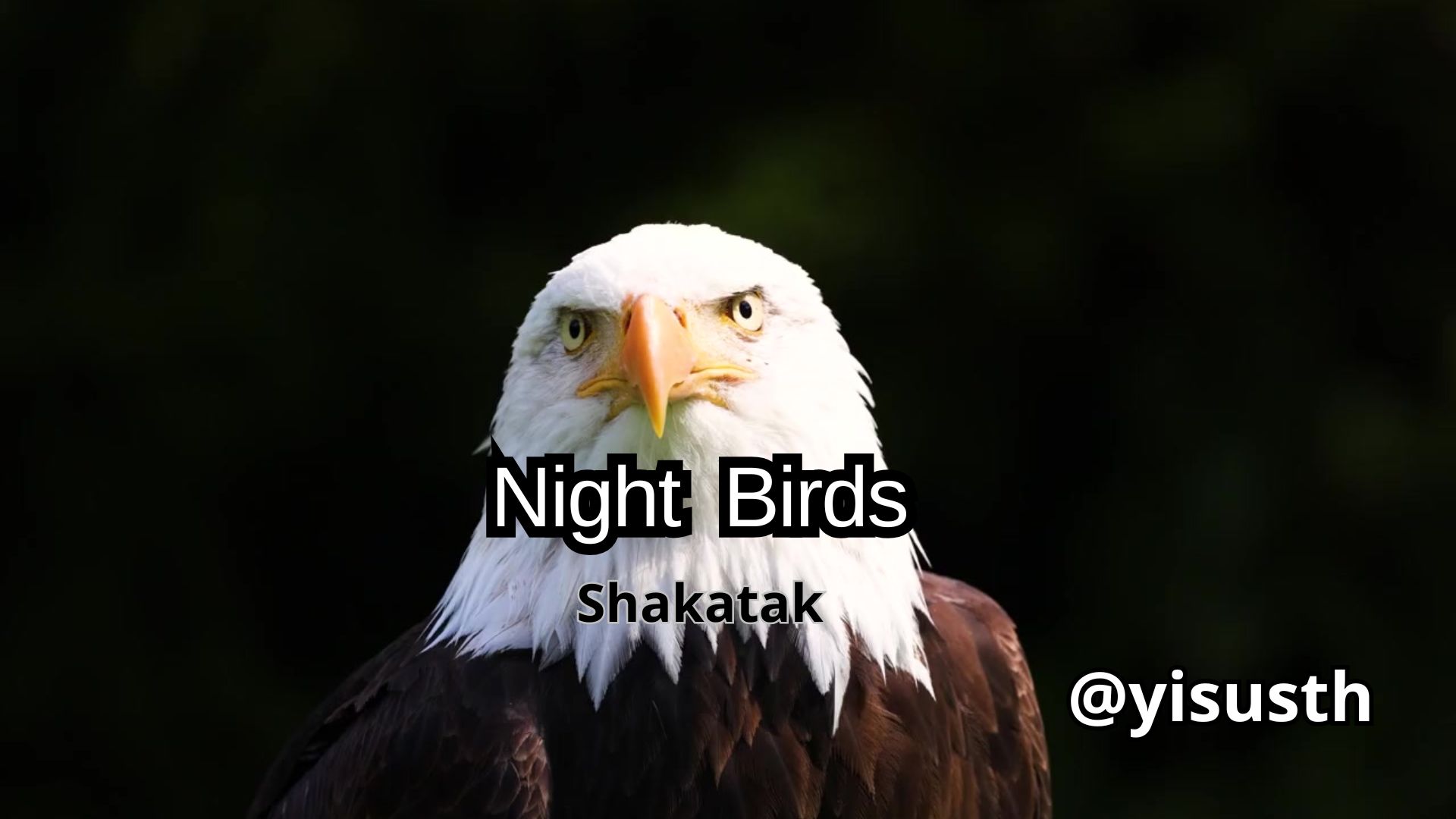 night_cover.jpg