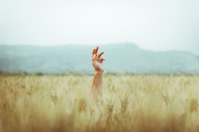 giuseppe-patriarchi-XV_5vdgzUaI-unsplash.jpg
