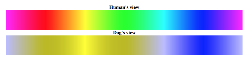 Dog_Vision_Spectrum_1.jpeg